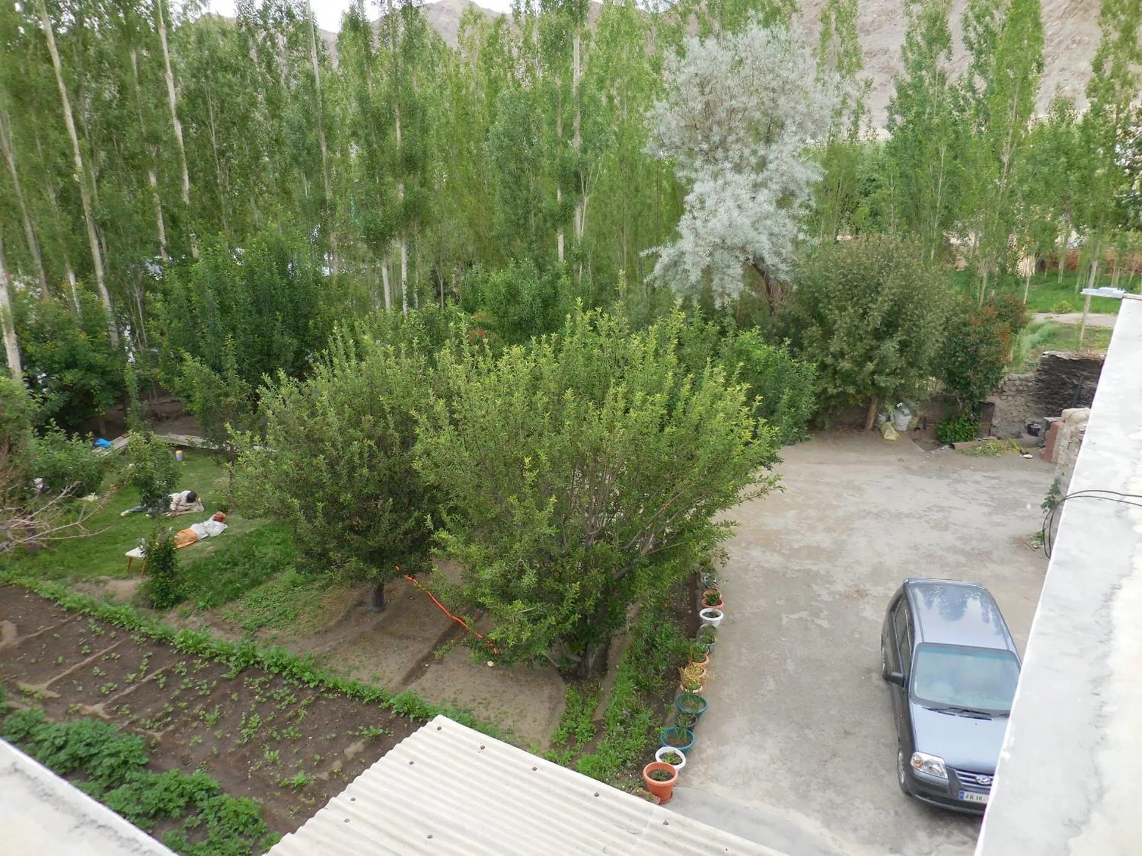 Garden in Sangto Green Guest House