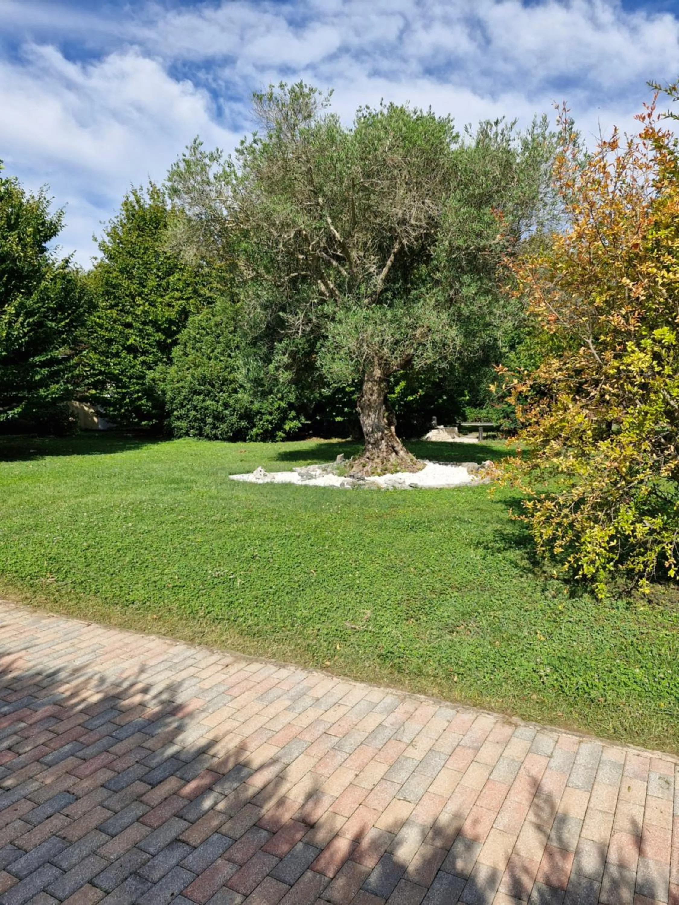 Garden in B&B Melograno MC