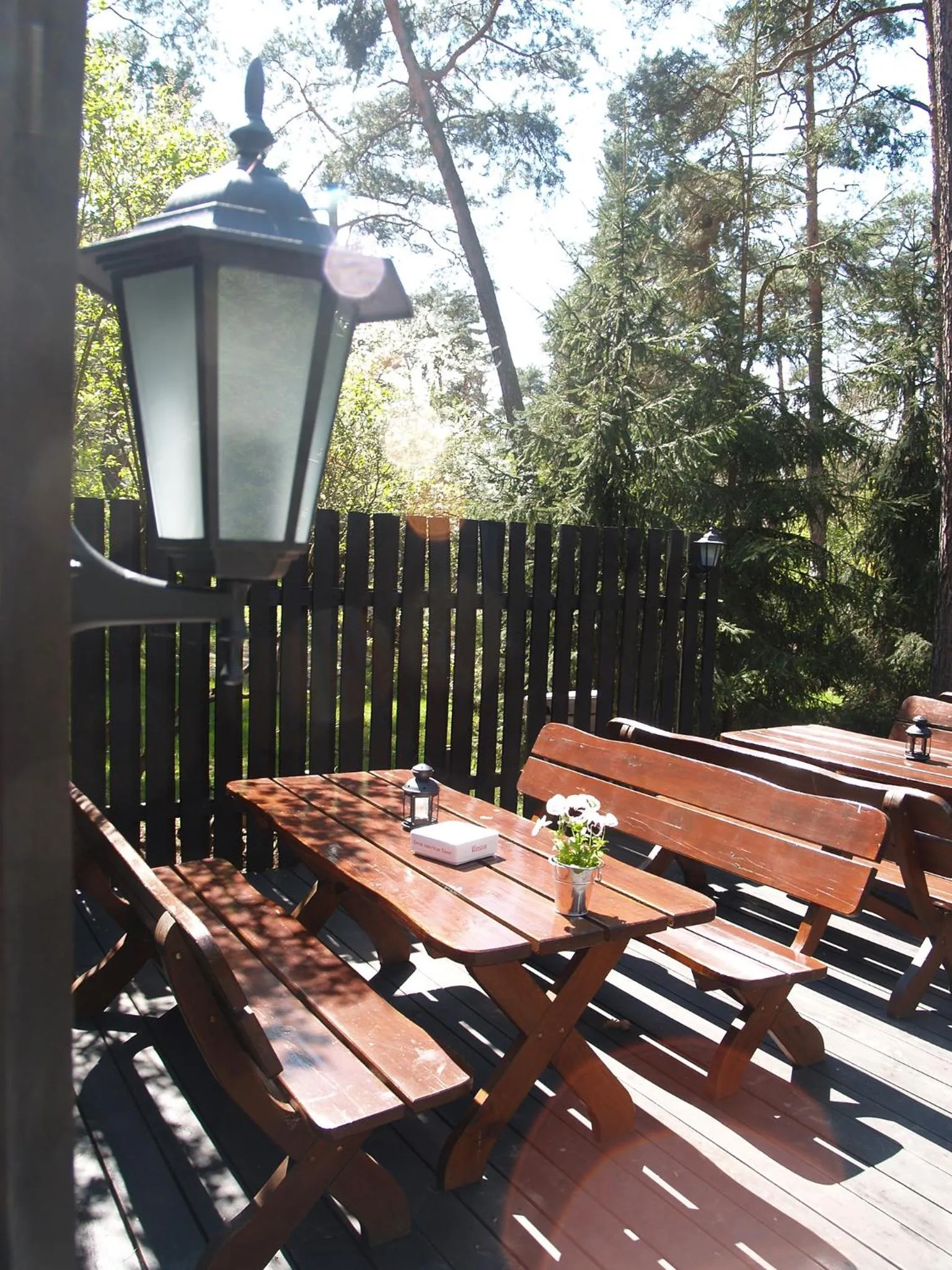 Balcony/Terrace in Leśny Dworek