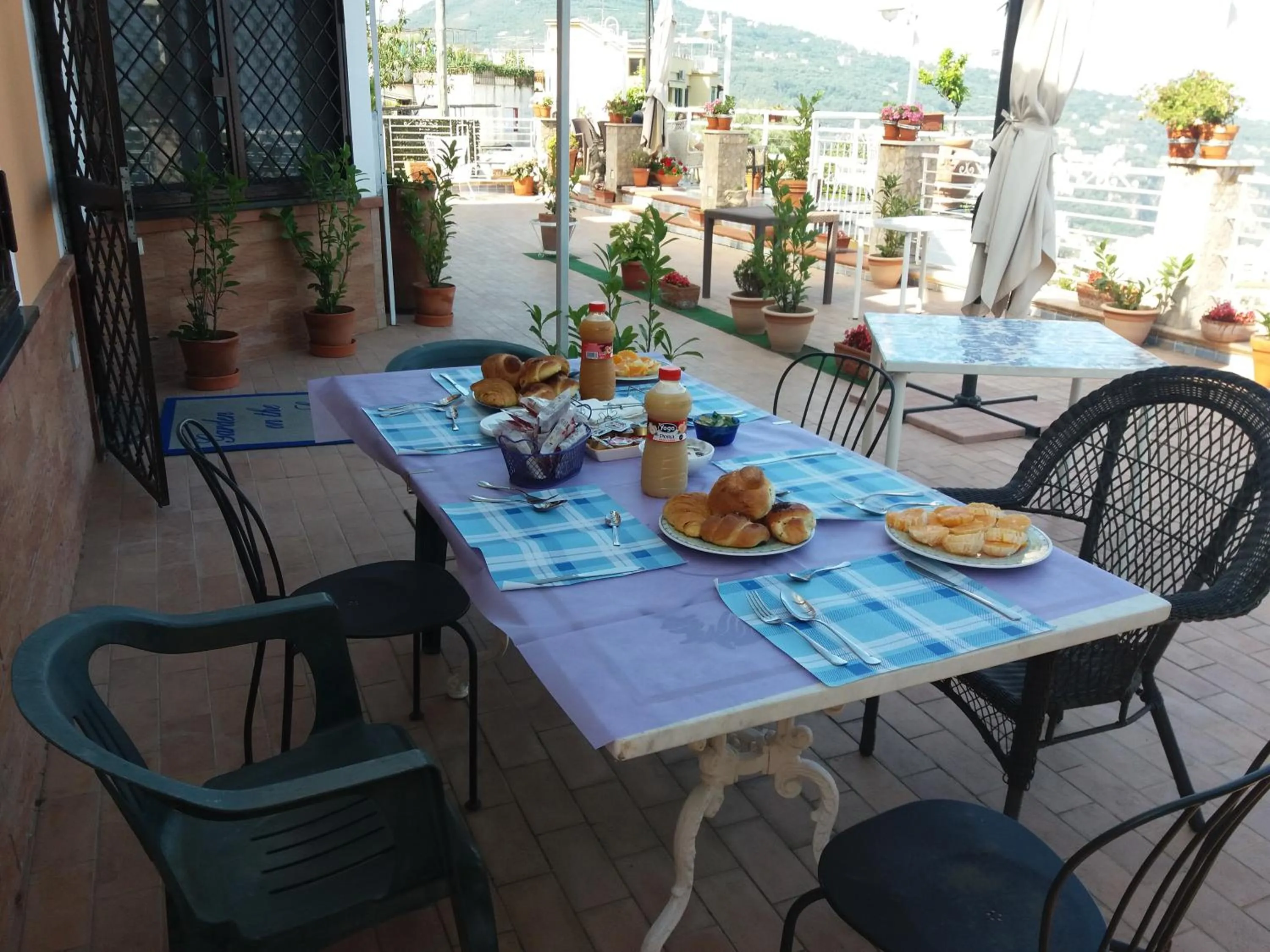 Garden on the Sea