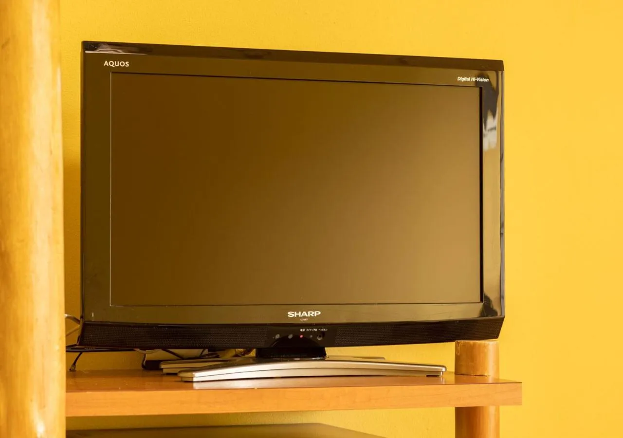 TV and multimedia in Hotel Hanamaki