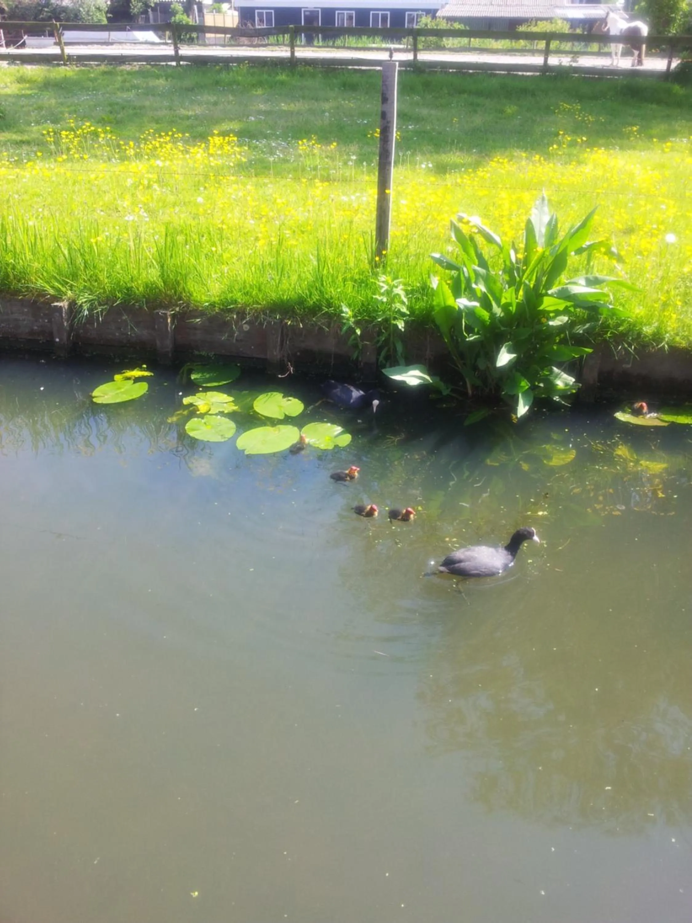 Natural landscape in Dirosa