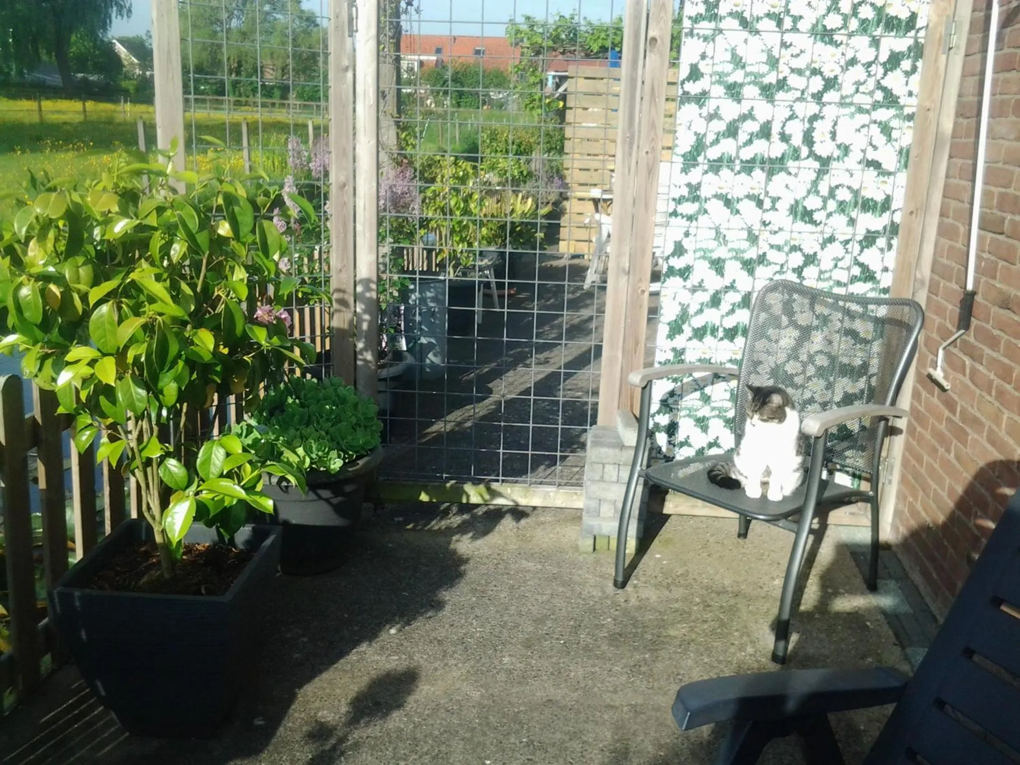 Property building in Dirosa