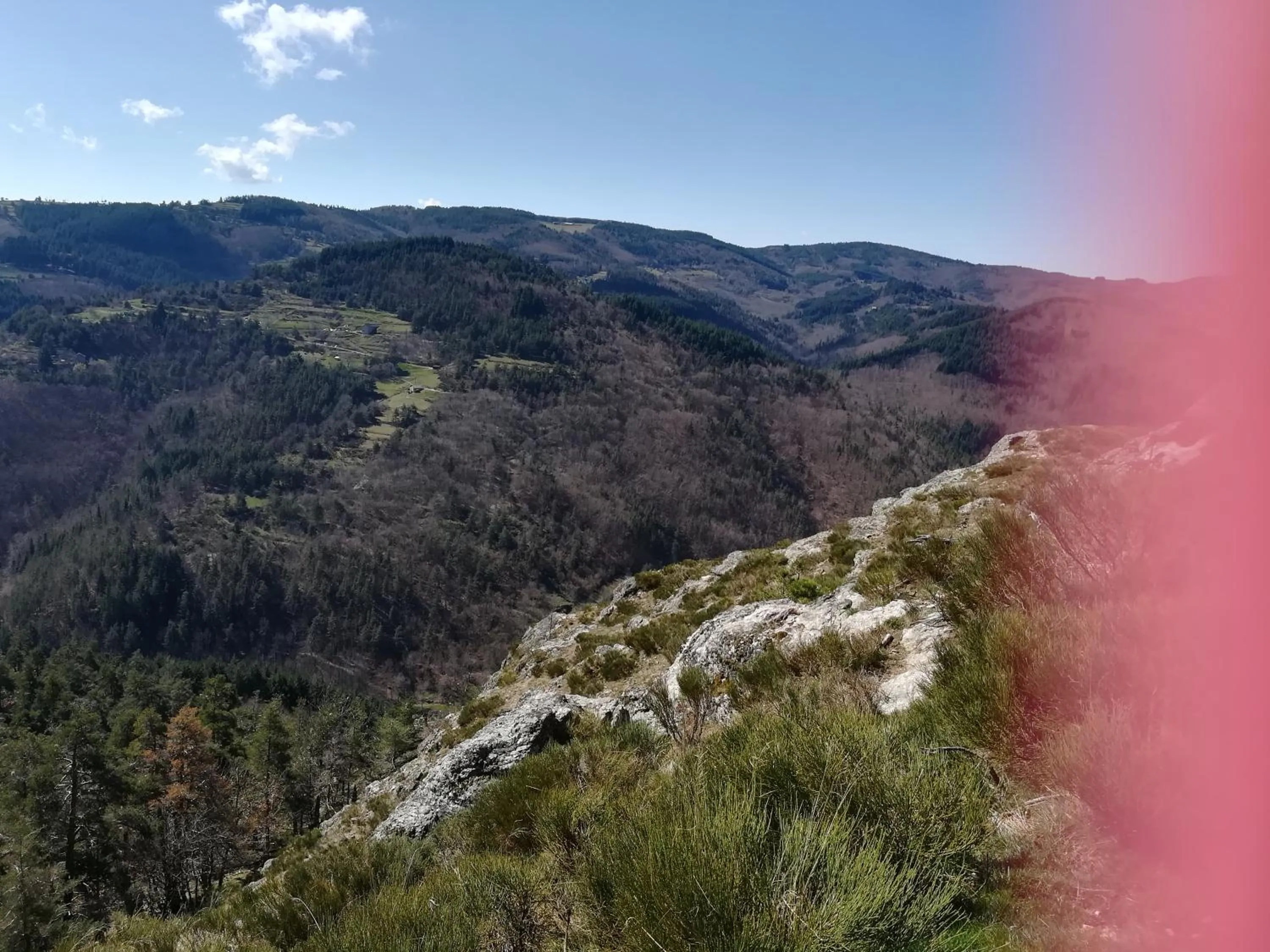 Le Relais De Rochepaule