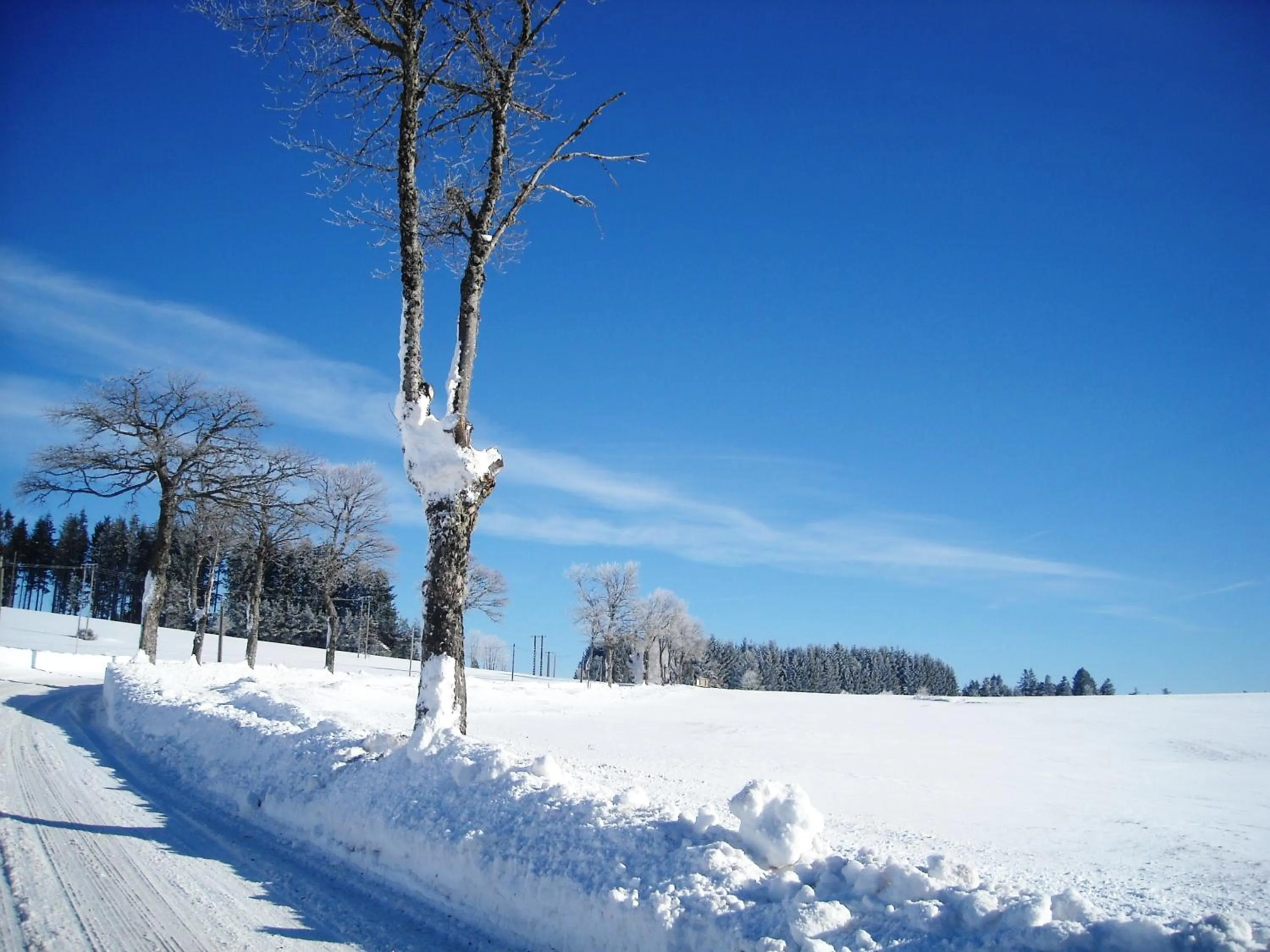 Property building in Le Relais De Rochepaule