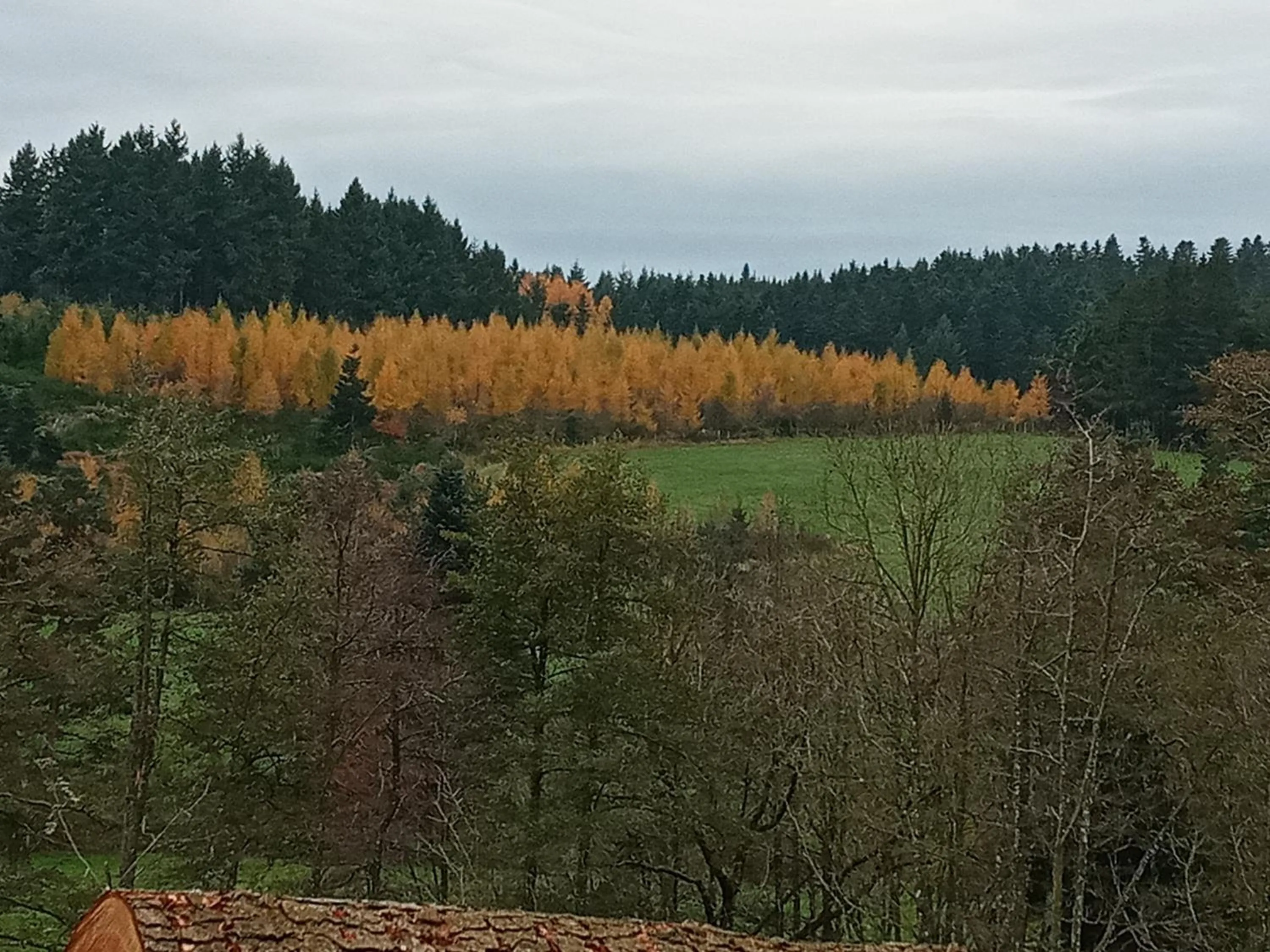 Le Relais De Rochepaule