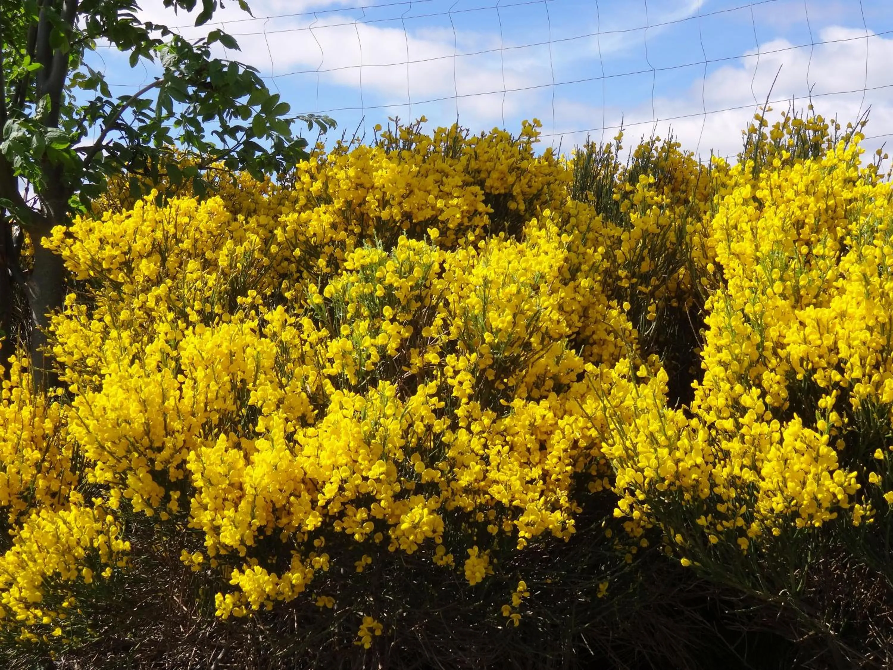 Property building in Le Relais De Rochepaule