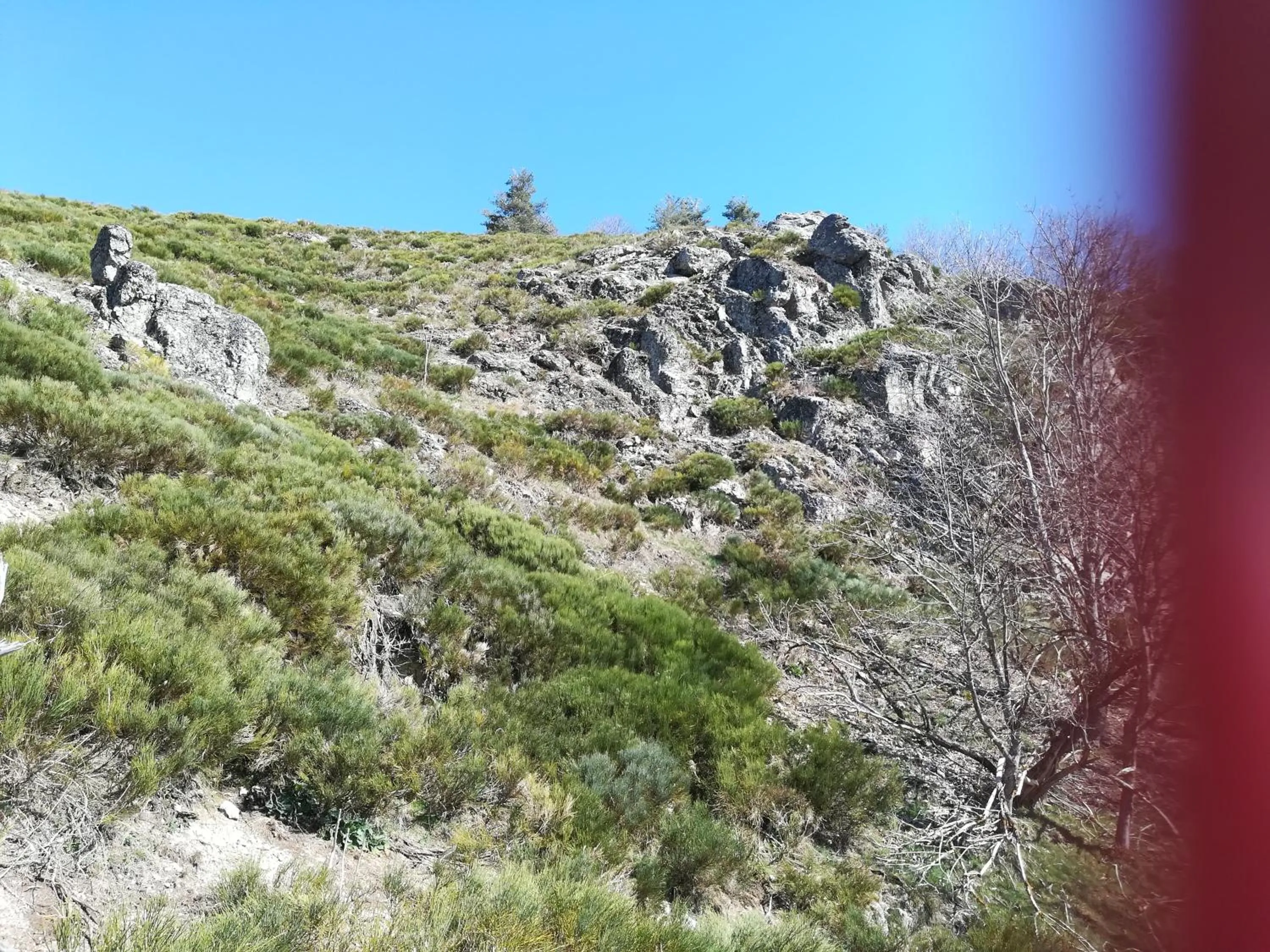 Le Relais De Rochepaule