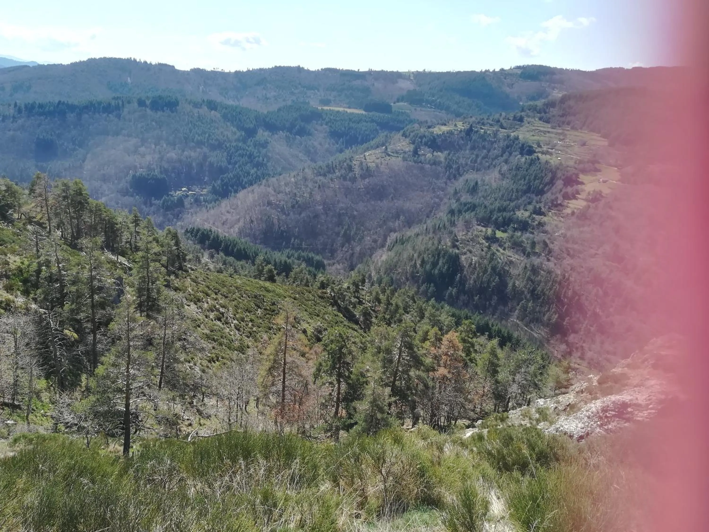 Le Relais De Rochepaule