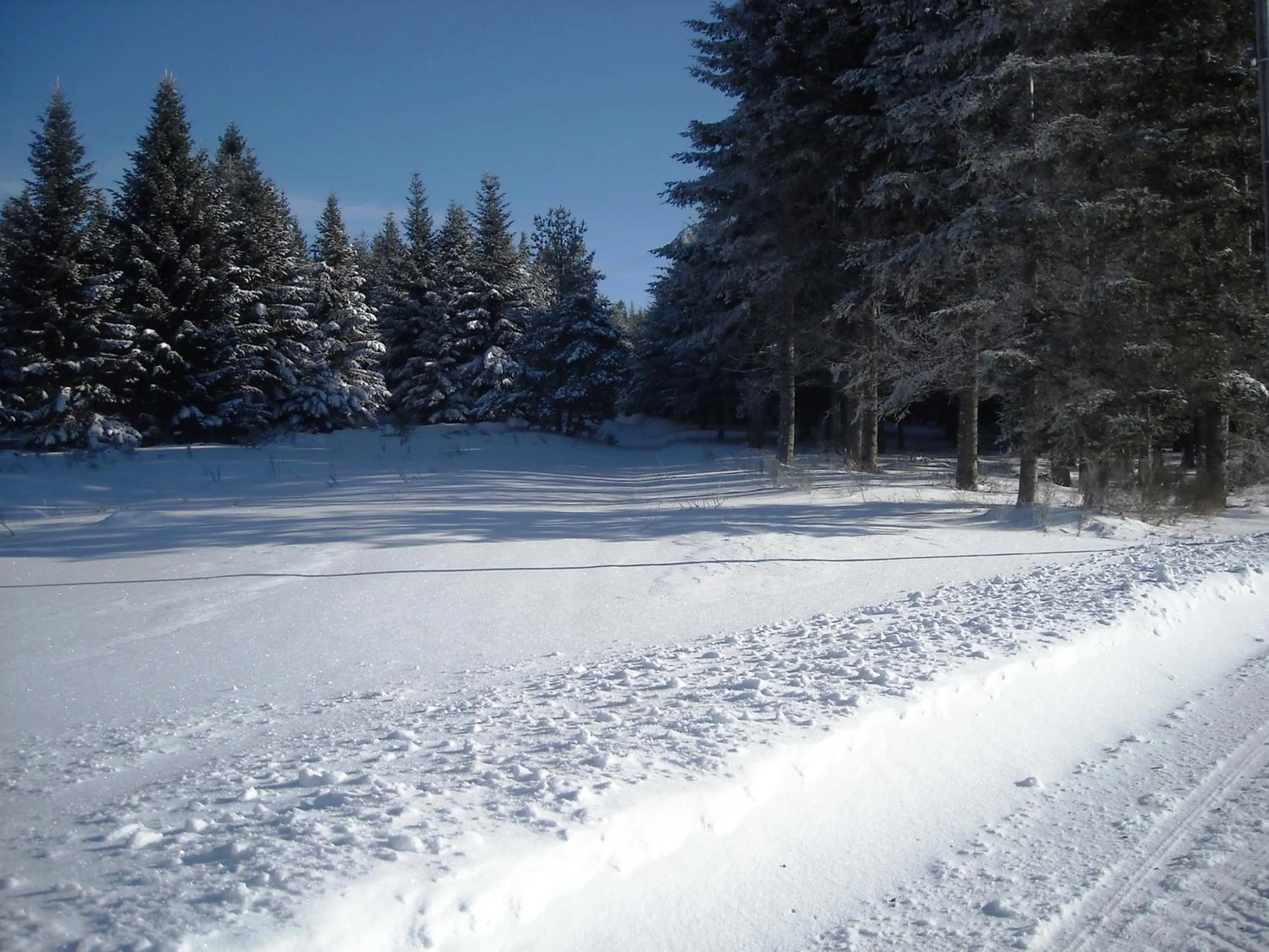 Property building in Le Relais De Rochepaule