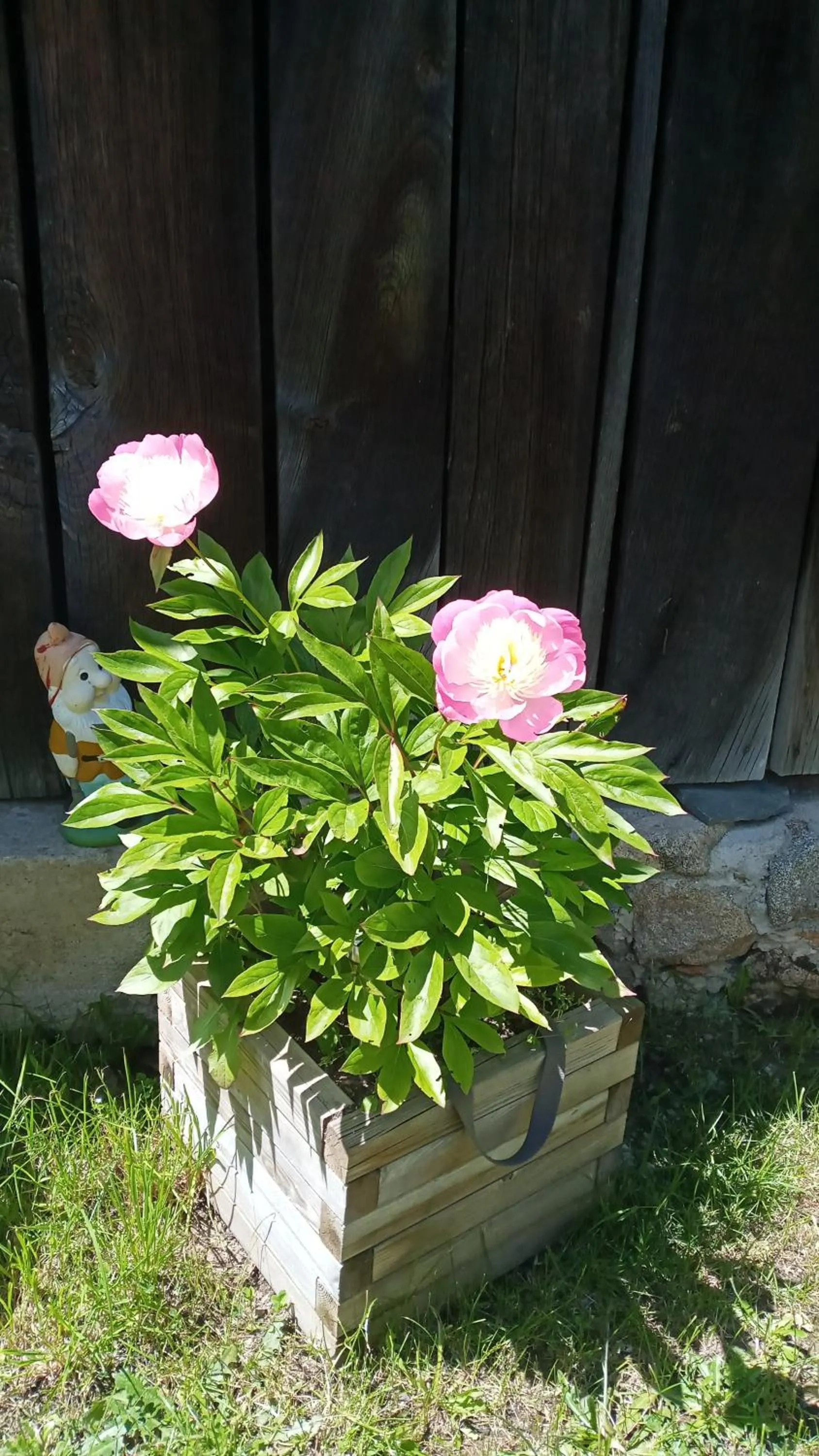 Le Relais De Rochepaule