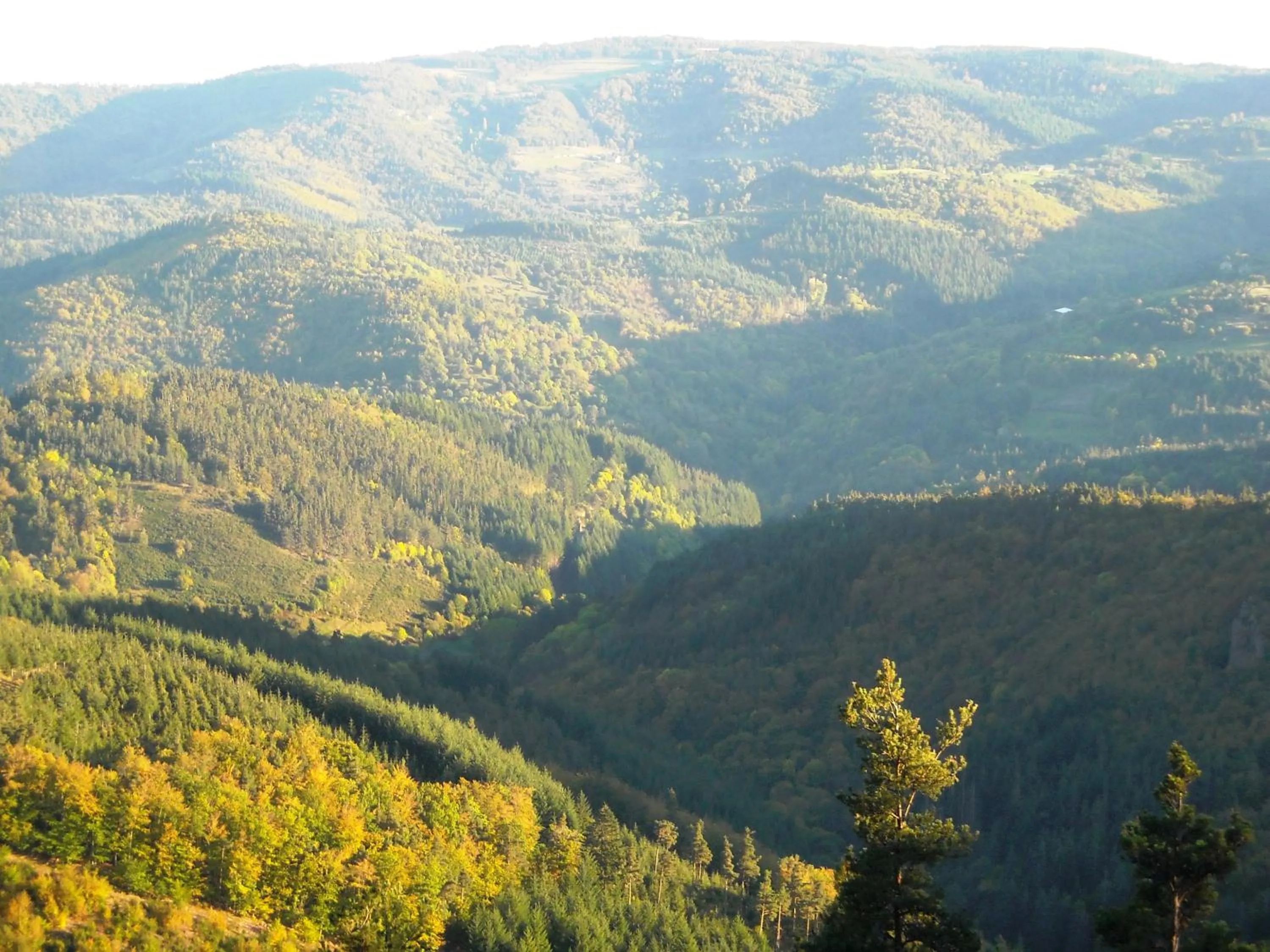 Property building in Le Relais De Rochepaule