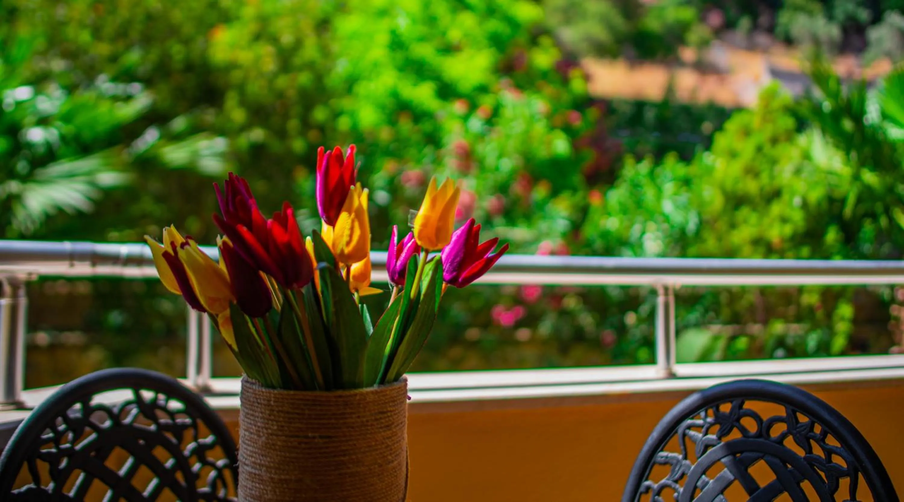 Garden in Dores Residence