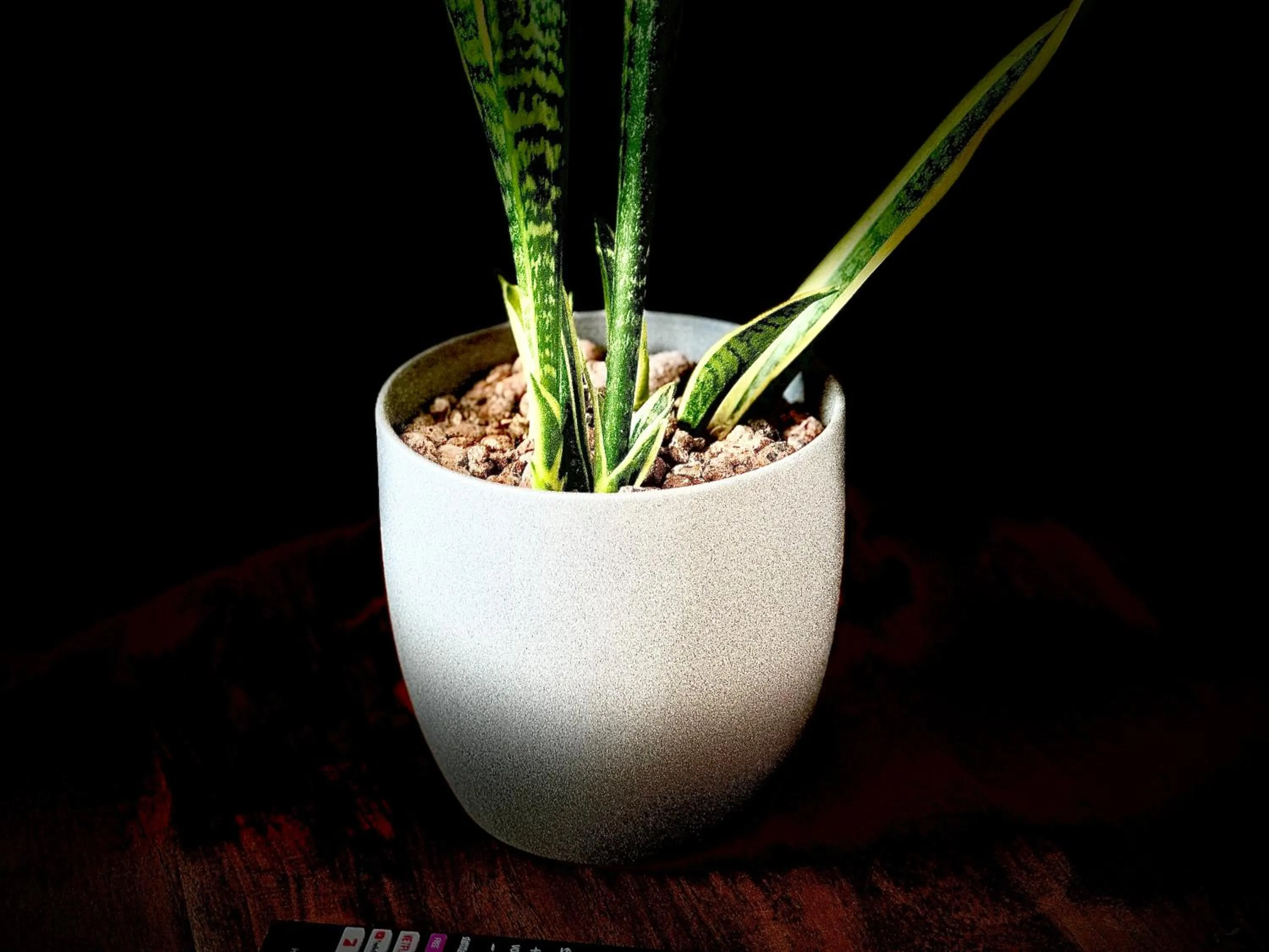 Photo of the whole room in Privathotel Riesenbeck