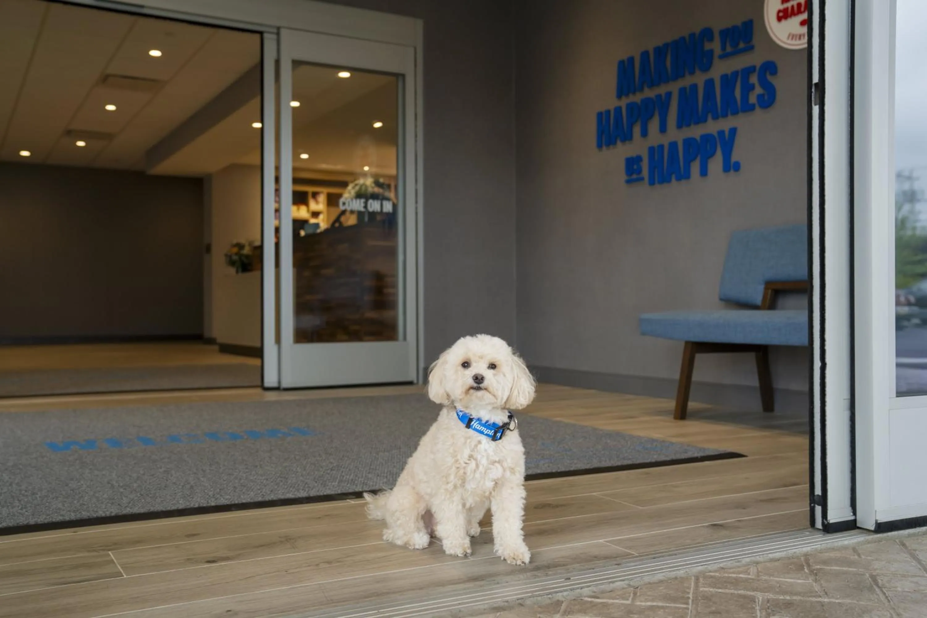 pet friendly in Hampton Inn & Suites By Hilton Long Island Farmingdale