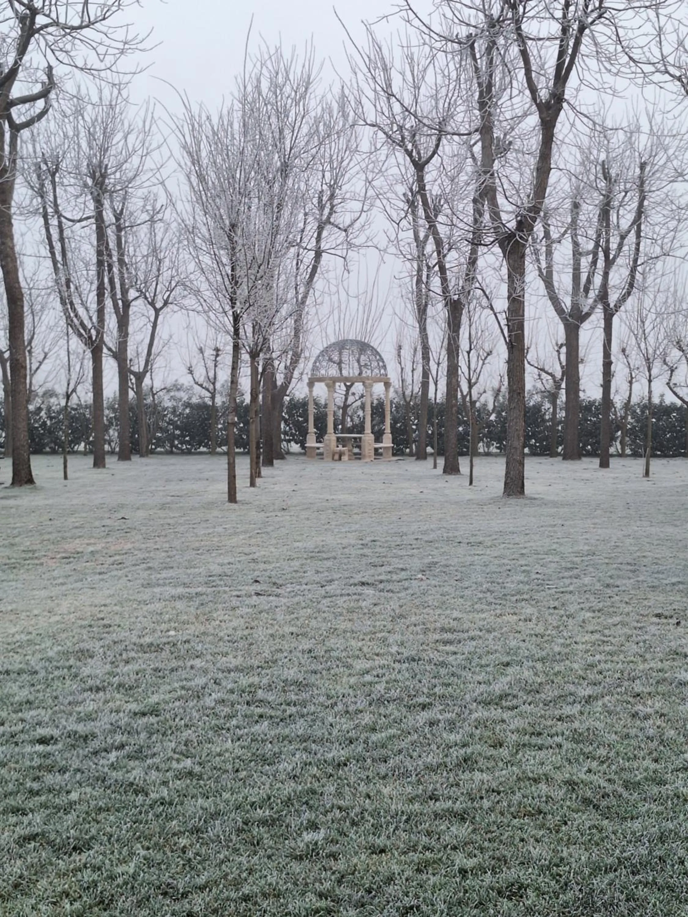 Garden in B&B Borgo Arcadia