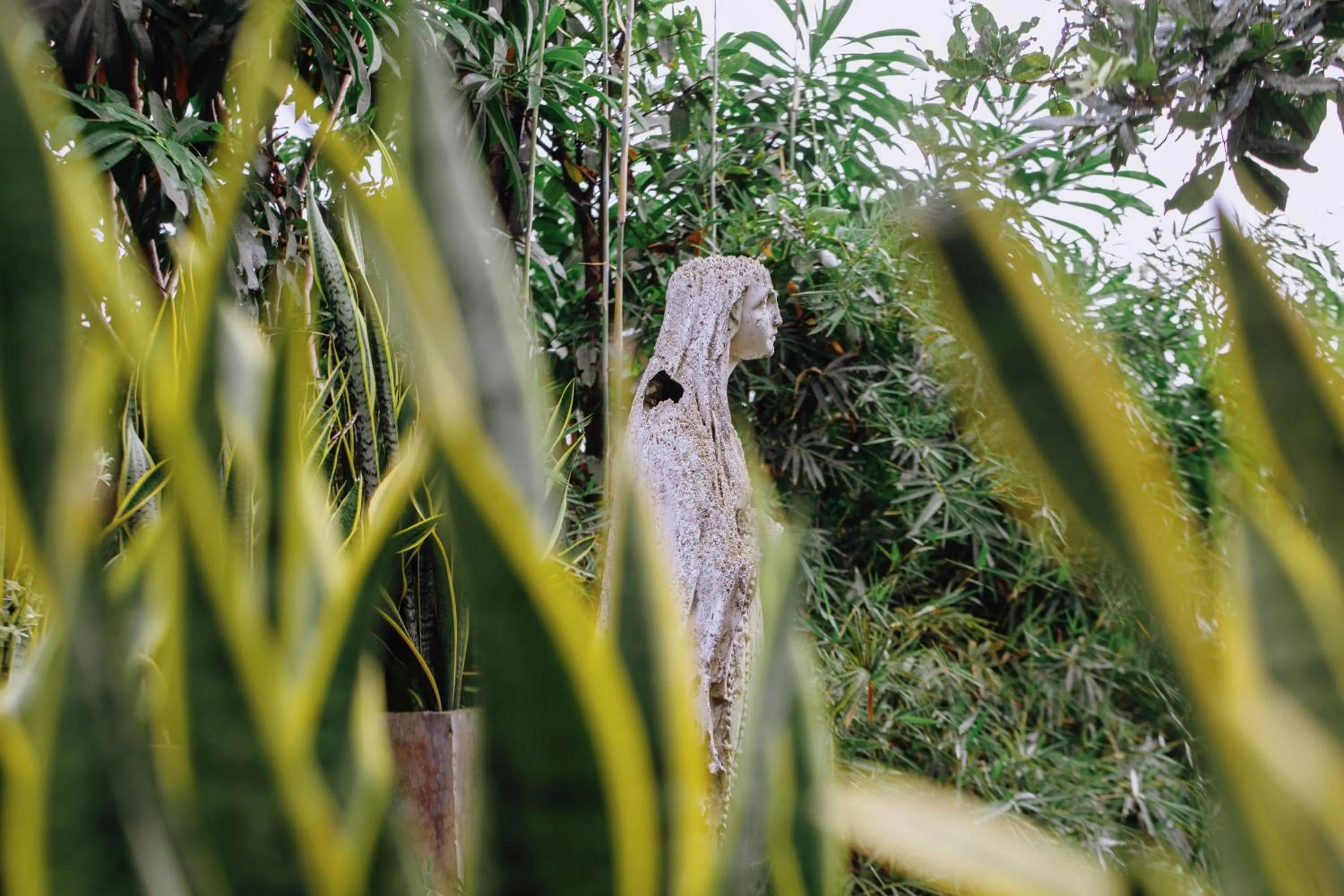 Garden in The Postcard Galle