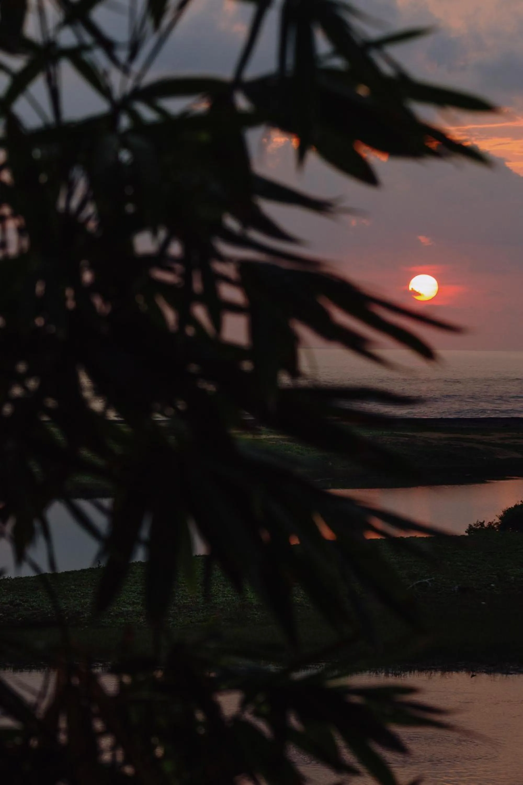 Sea view in The Postcard Galle