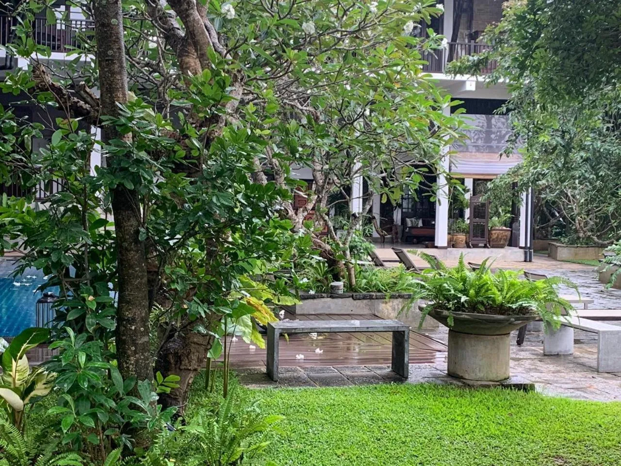 Garden view in The Postcard Galle