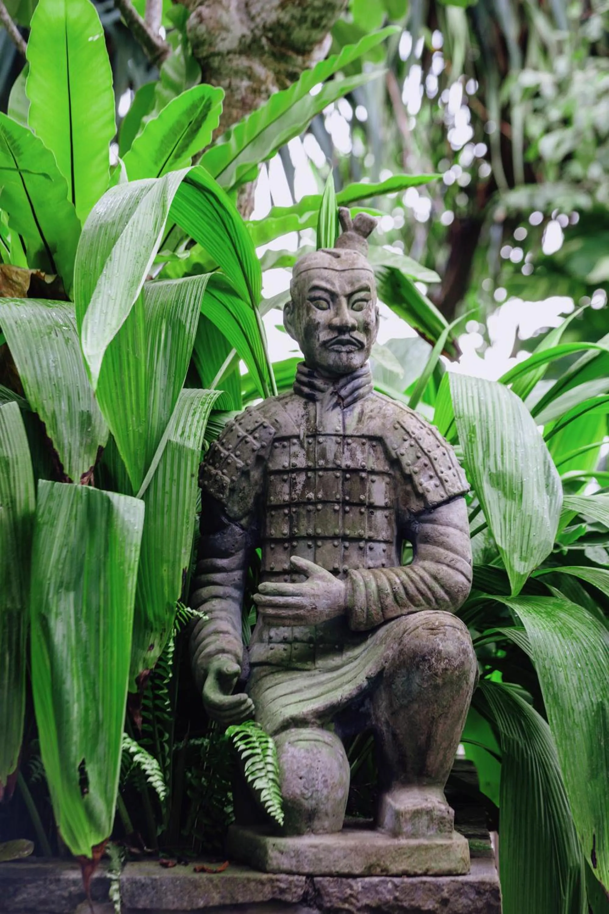 Garden in The Postcard Galle