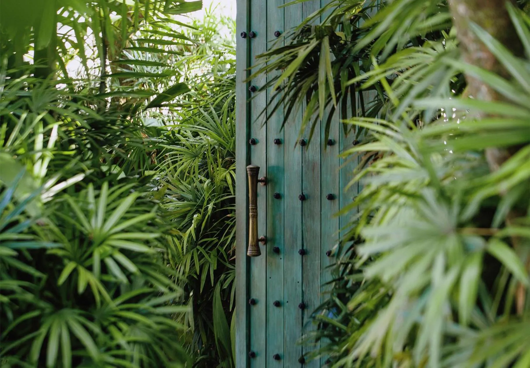 Garden in The Postcard Galle