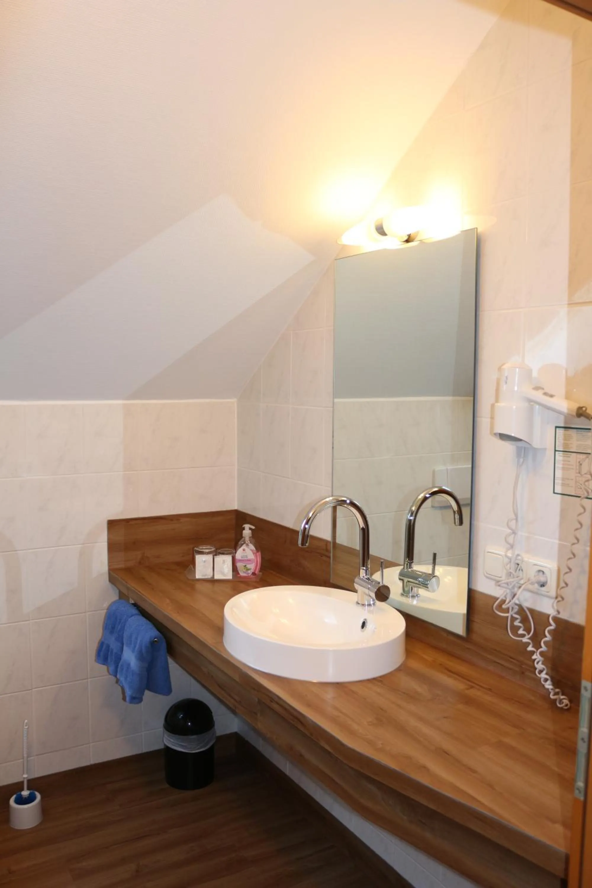 Photo of the whole room in Hotel Baldus