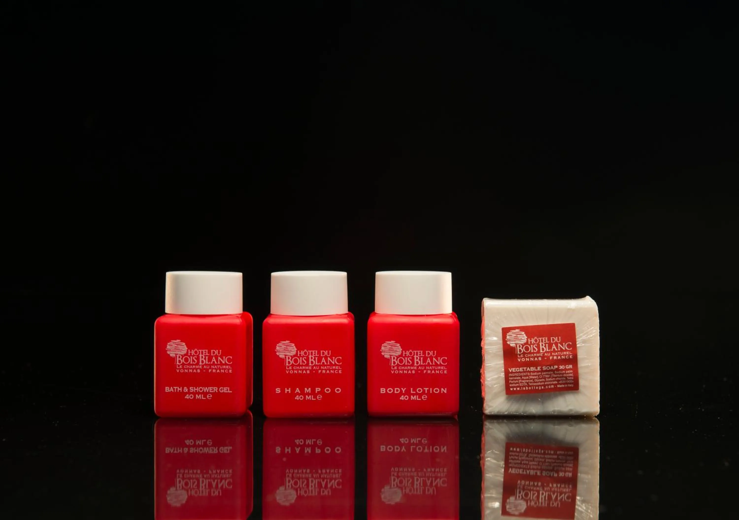 Other in Hôtel du Bois Blanc Domaine d'Epeyssoles Georges Blanc