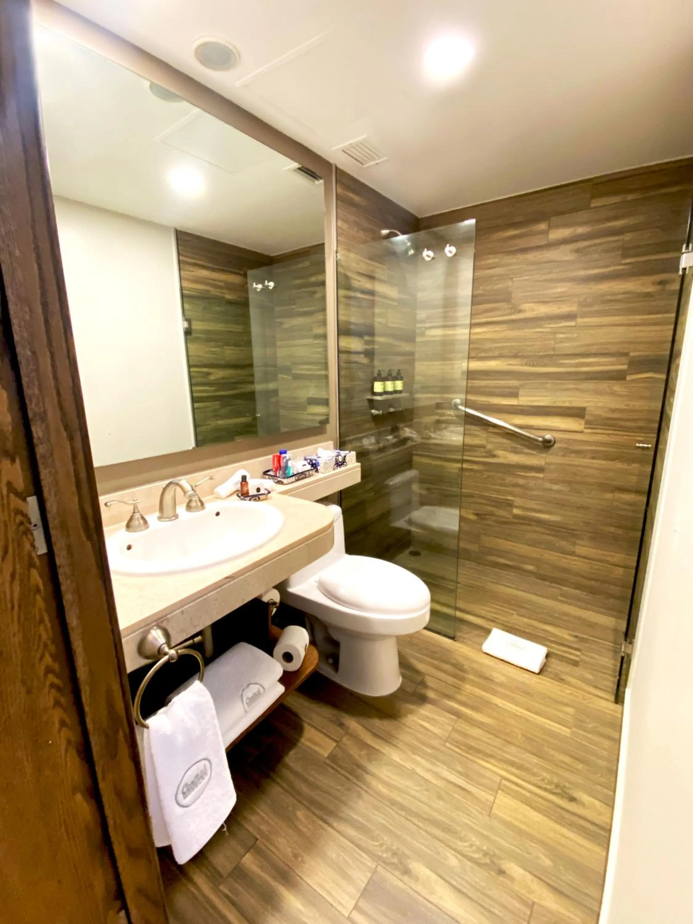 Shower in Historico Central Hotel