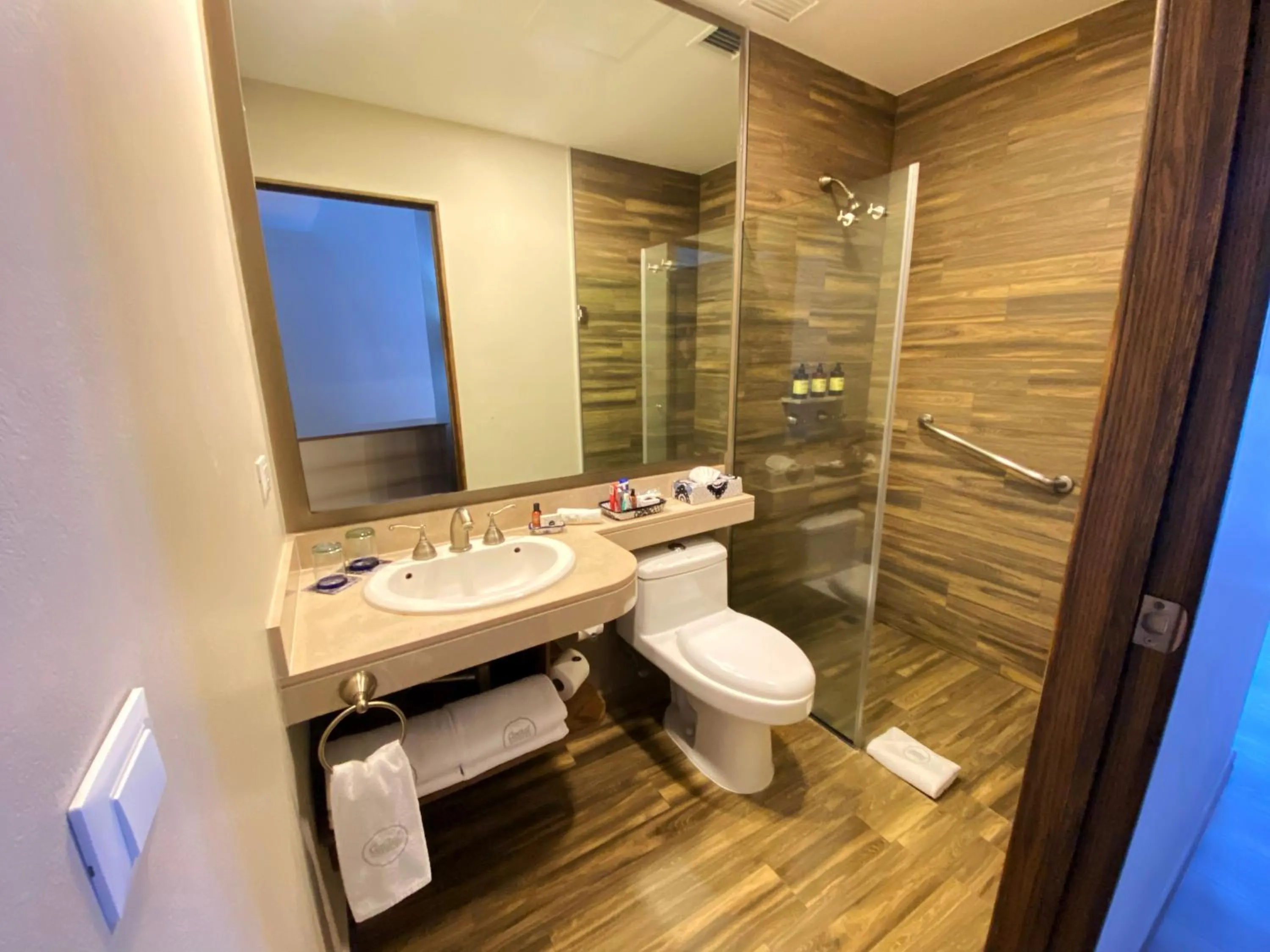 Shower in Historico Central Hotel