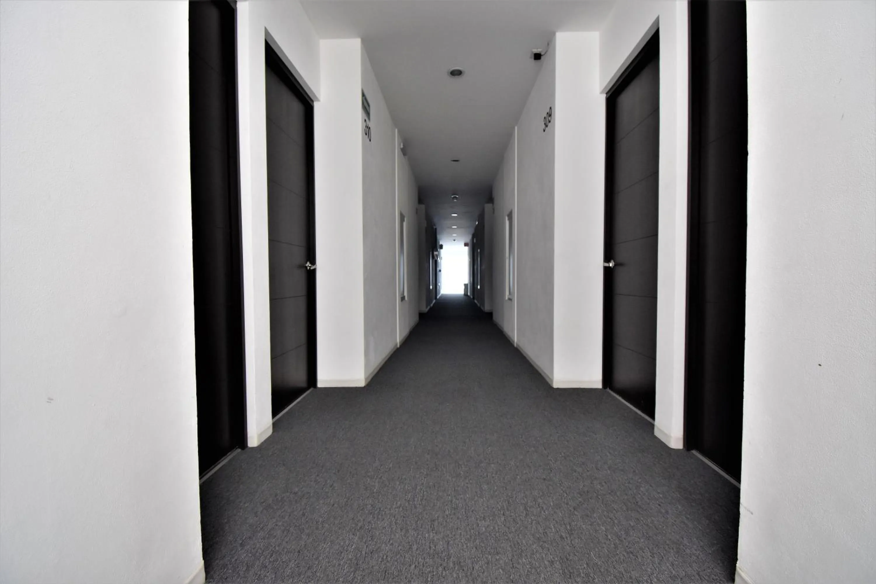 Decorative detail in Hotel México Inn Express