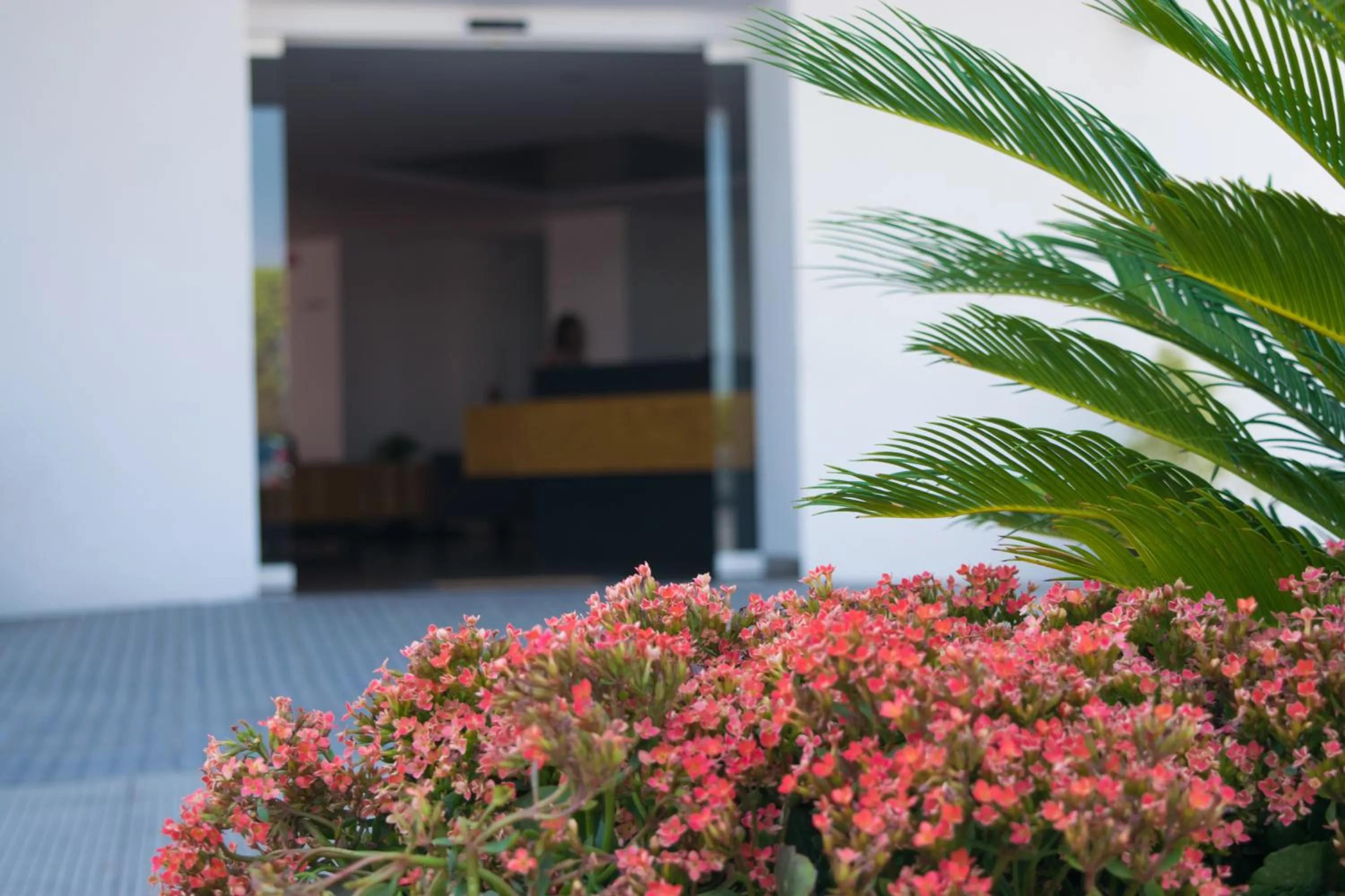 Decorative detail in Hotel México Inn Express