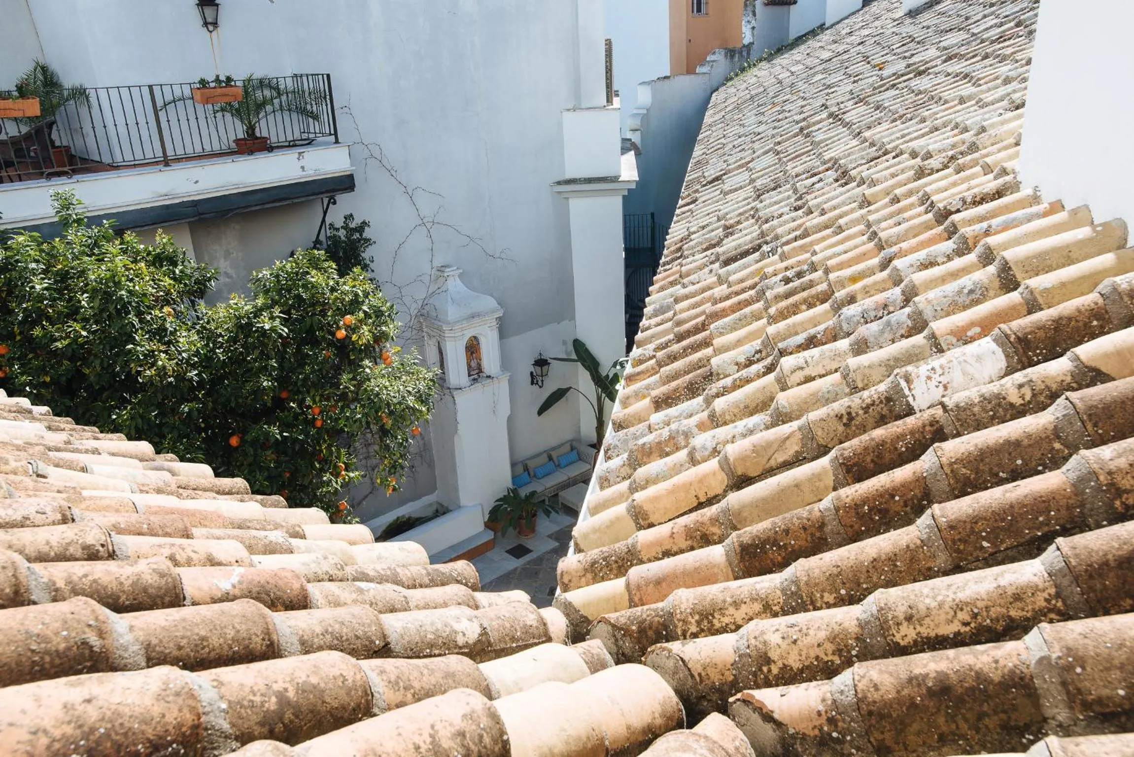 Area and facilities in Singular Corral de San José