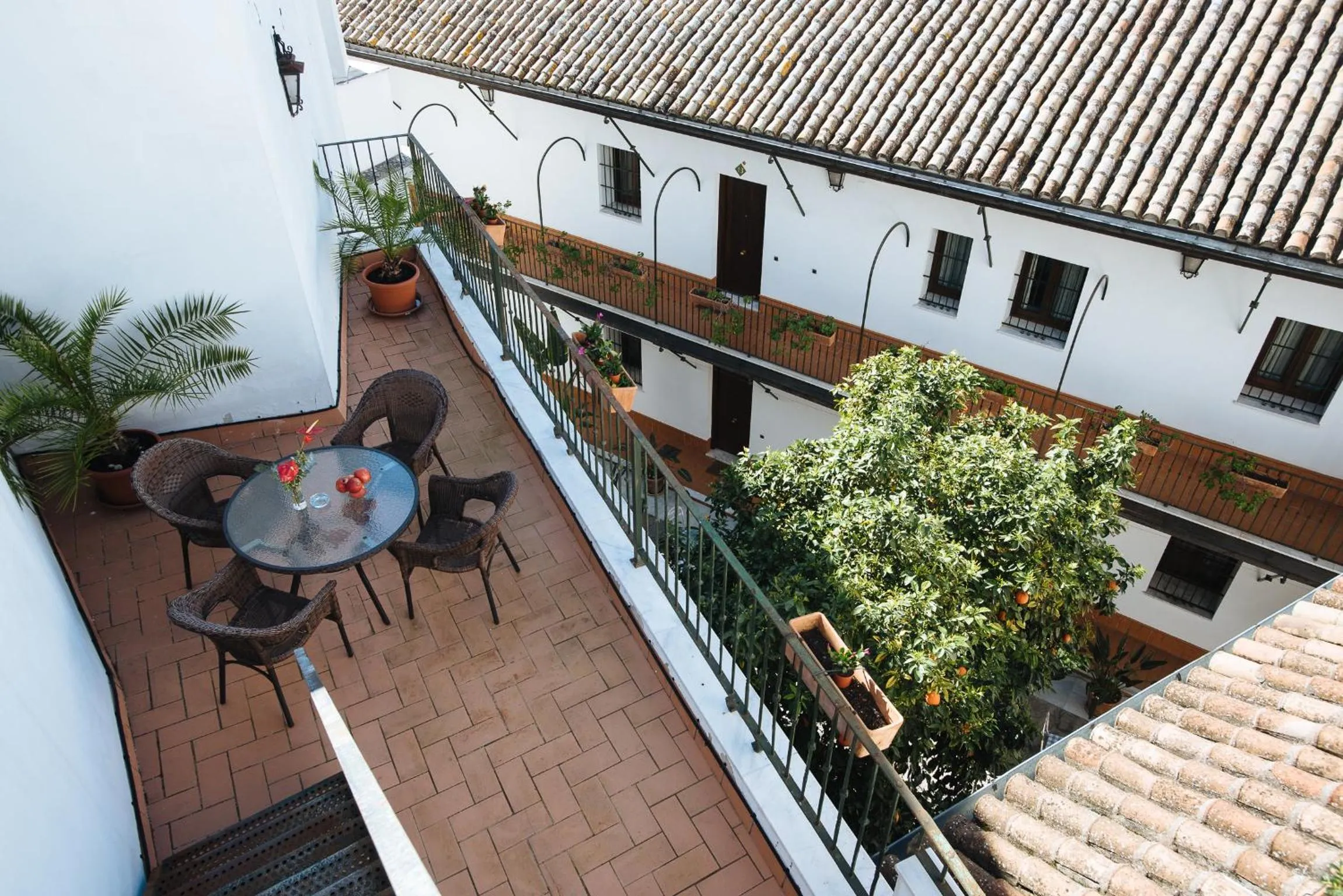 Garden in Singular Corral de San José