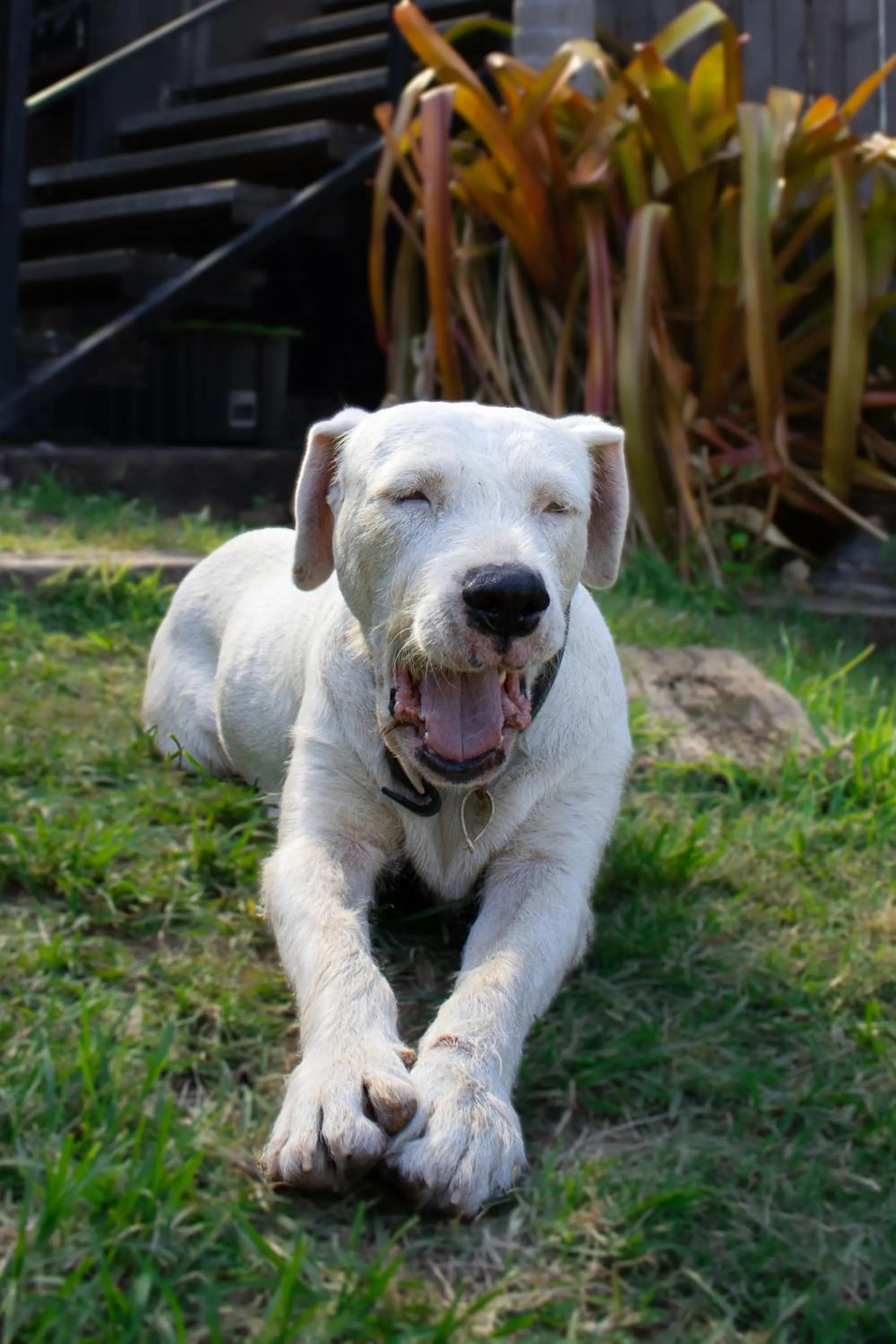 Property building in Gladstone Backpackers