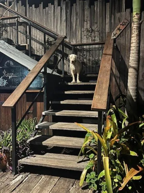 Property building in Gladstone Backpackers