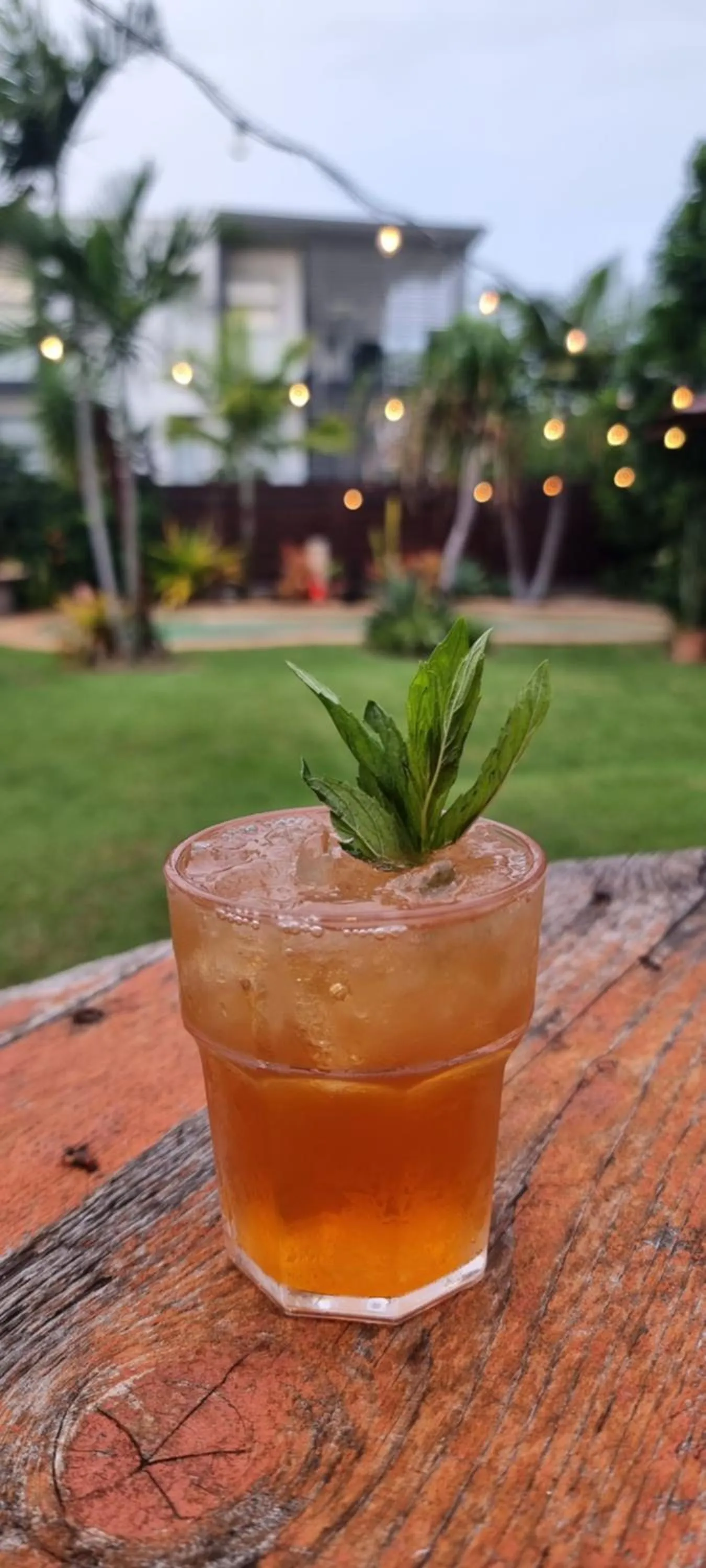 Garden in Gladstone Backpackers