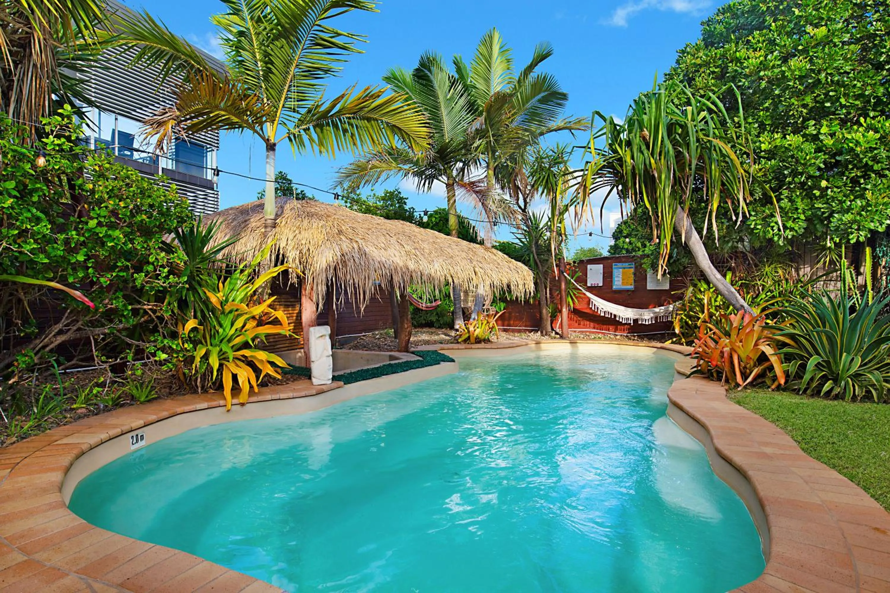 Garden in Gladstone Backpackers