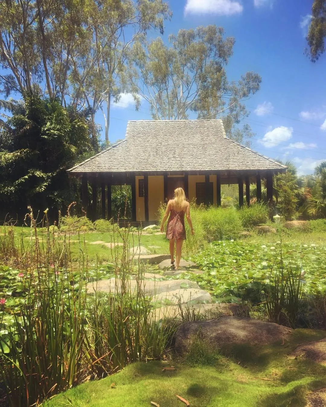 Hiking in Gladstone Backpackers