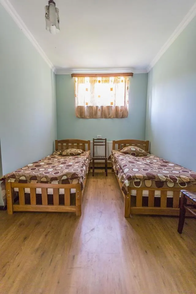 Budget Twin Room in Hotel Nini