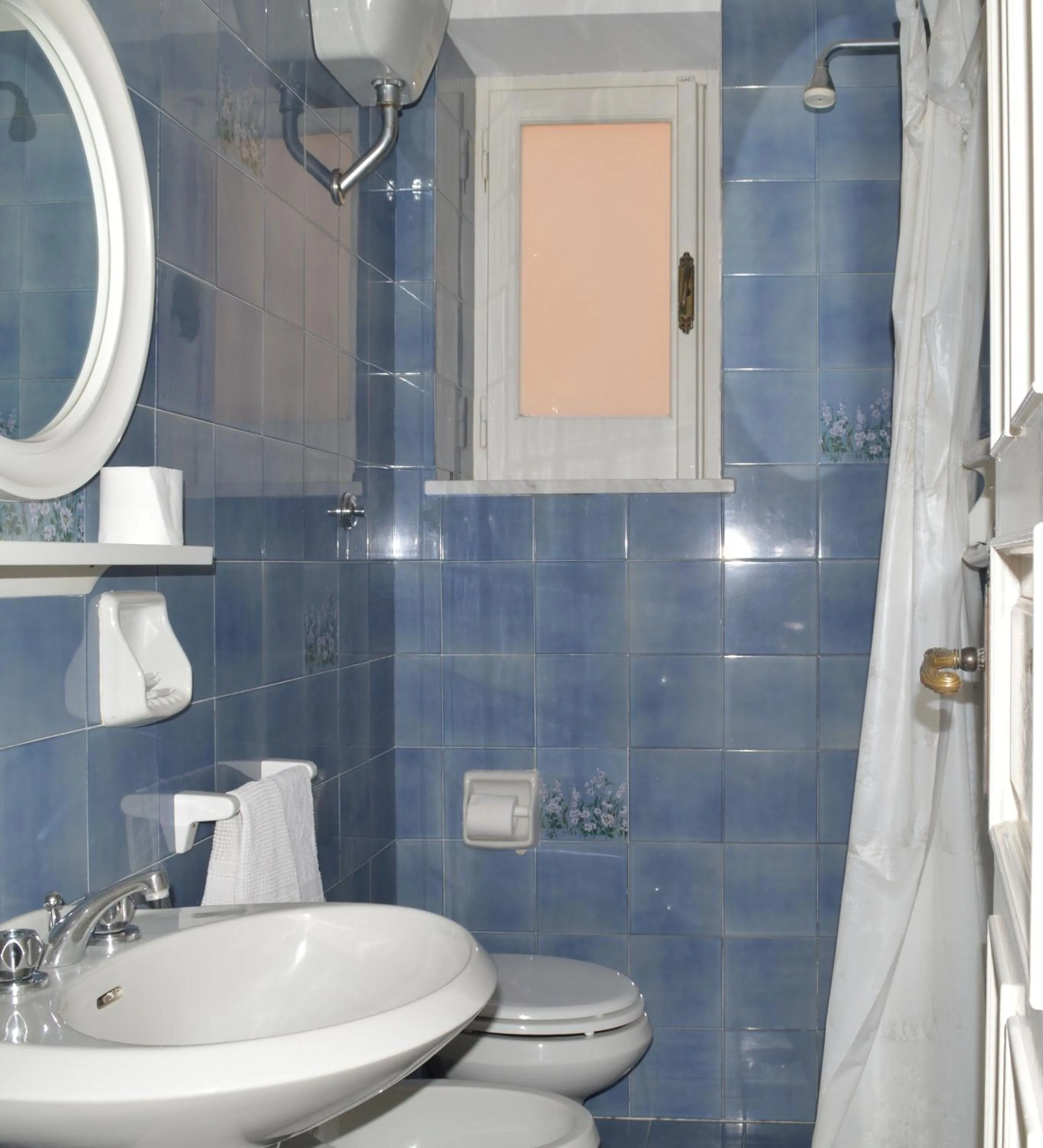 Shower in Hotel Polito