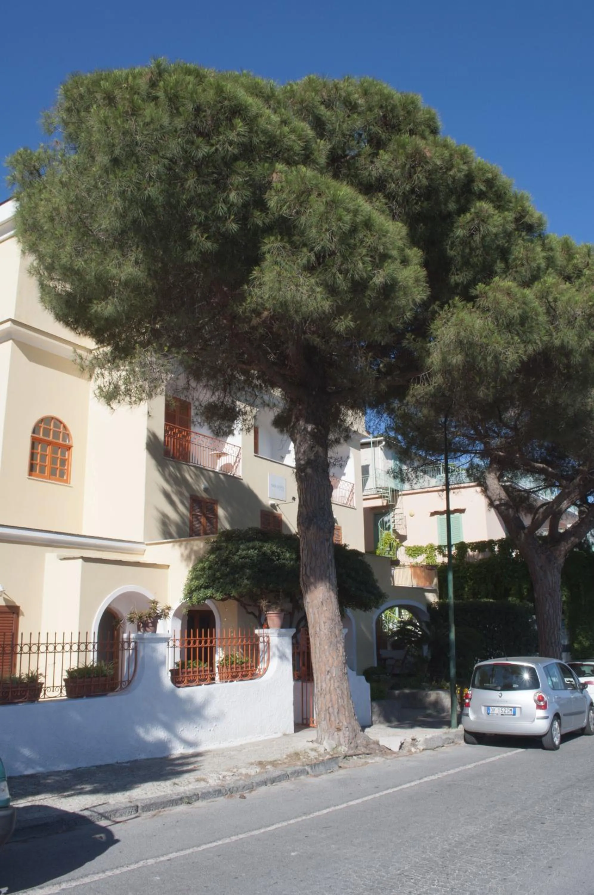 Property building in Hotel Polito