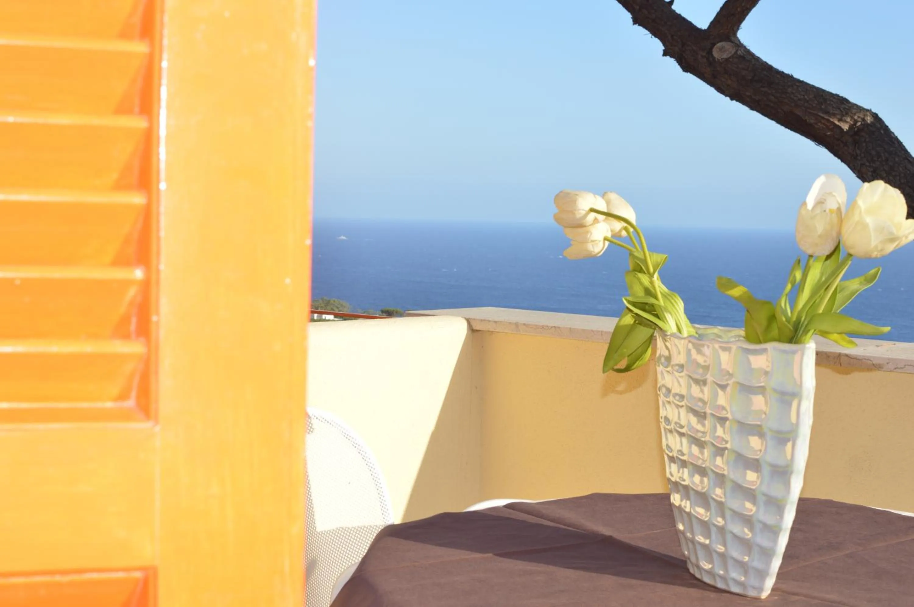 Balcony/Terrace in Hotel Polito
