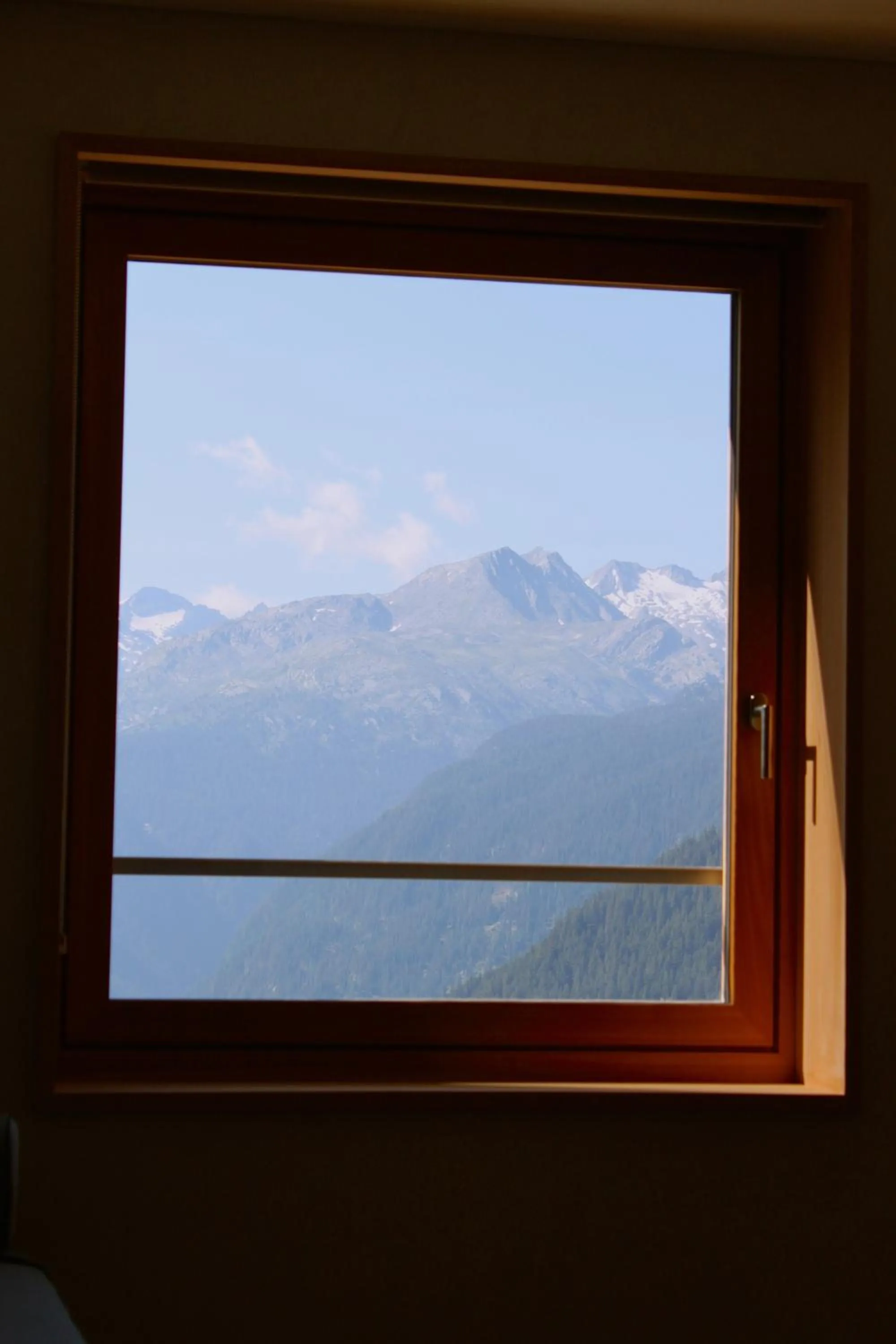 Mountain view in Pension Laresch