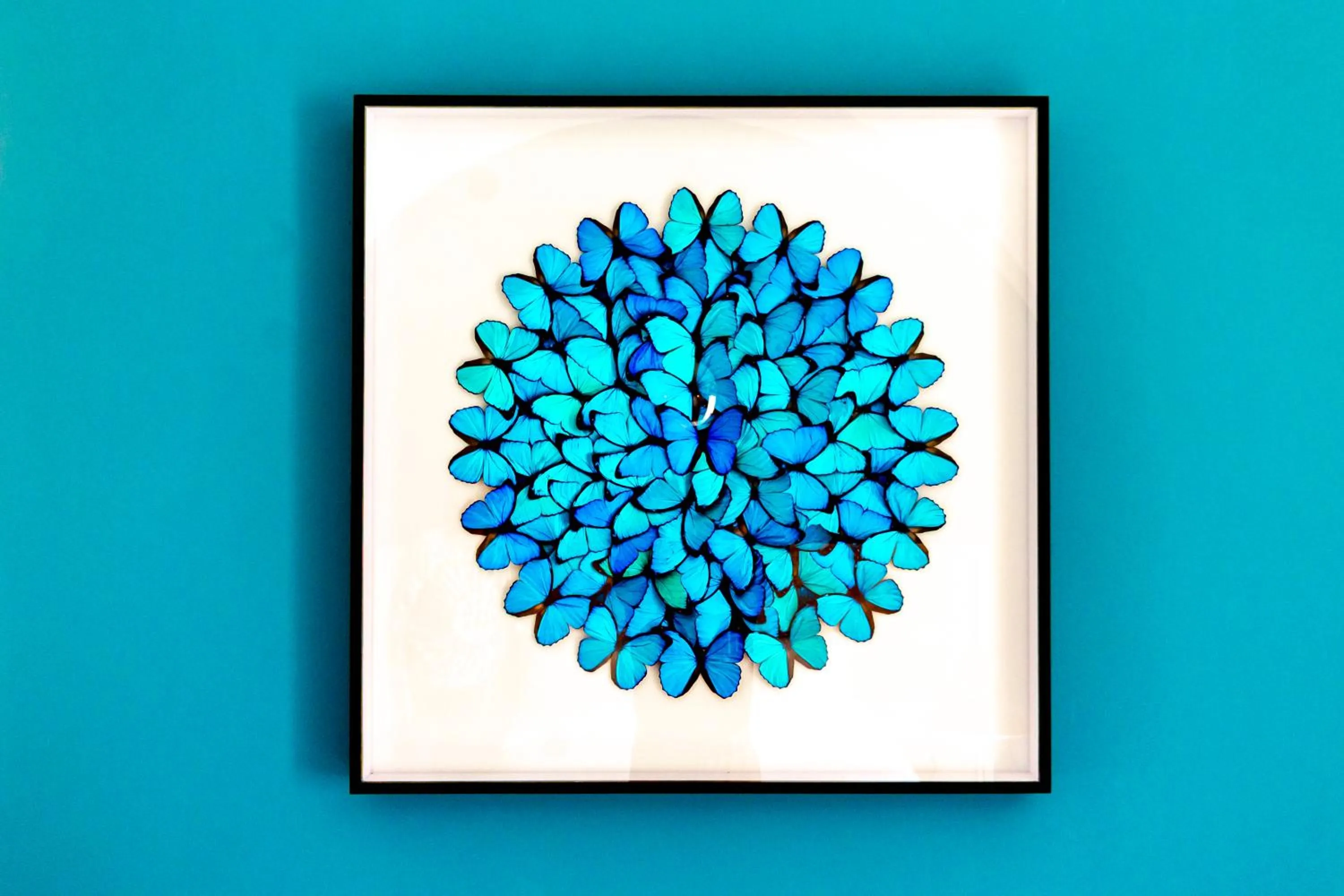 Decorative detail in Casa Galateo 20