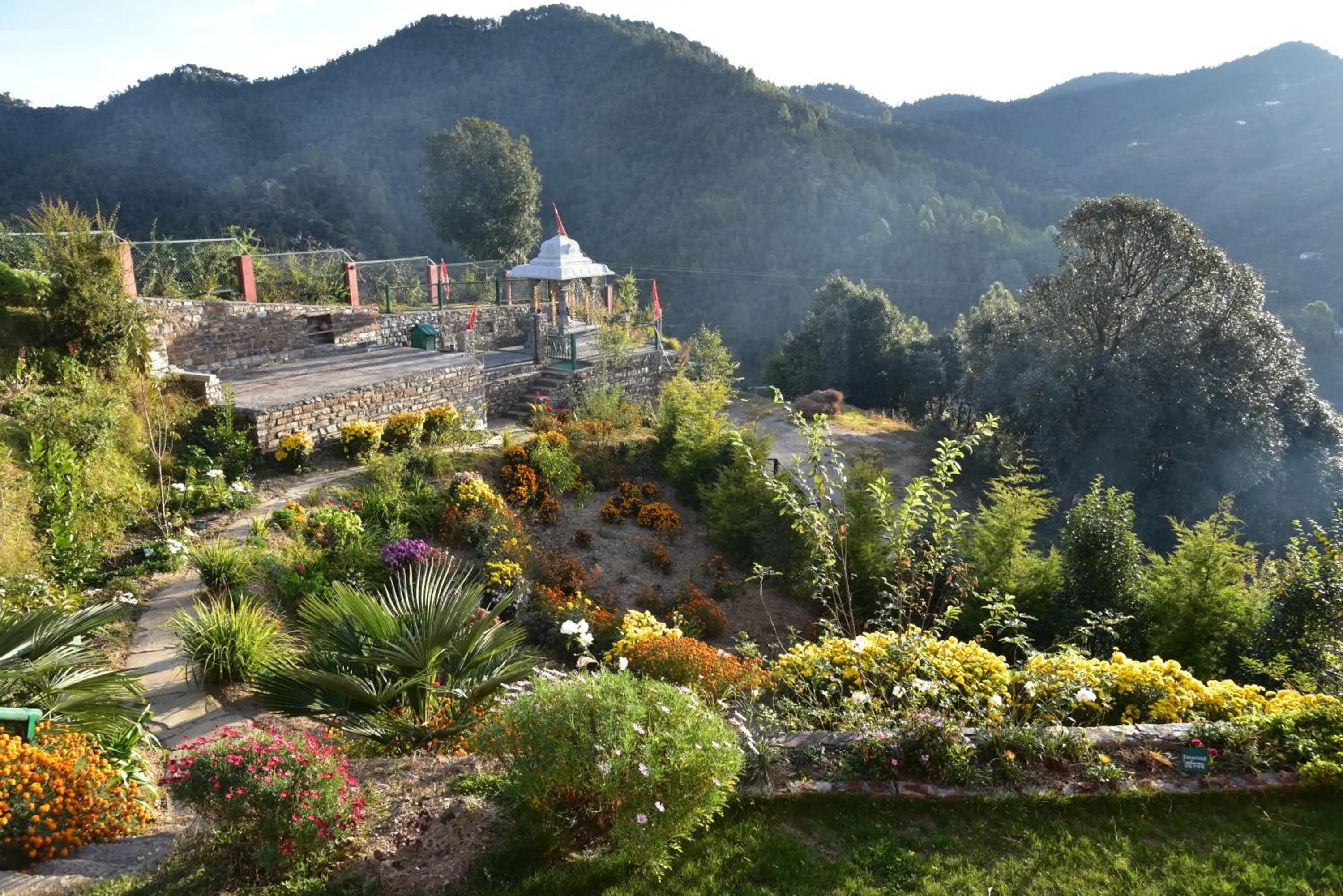 Garden in Parvada Bungalows