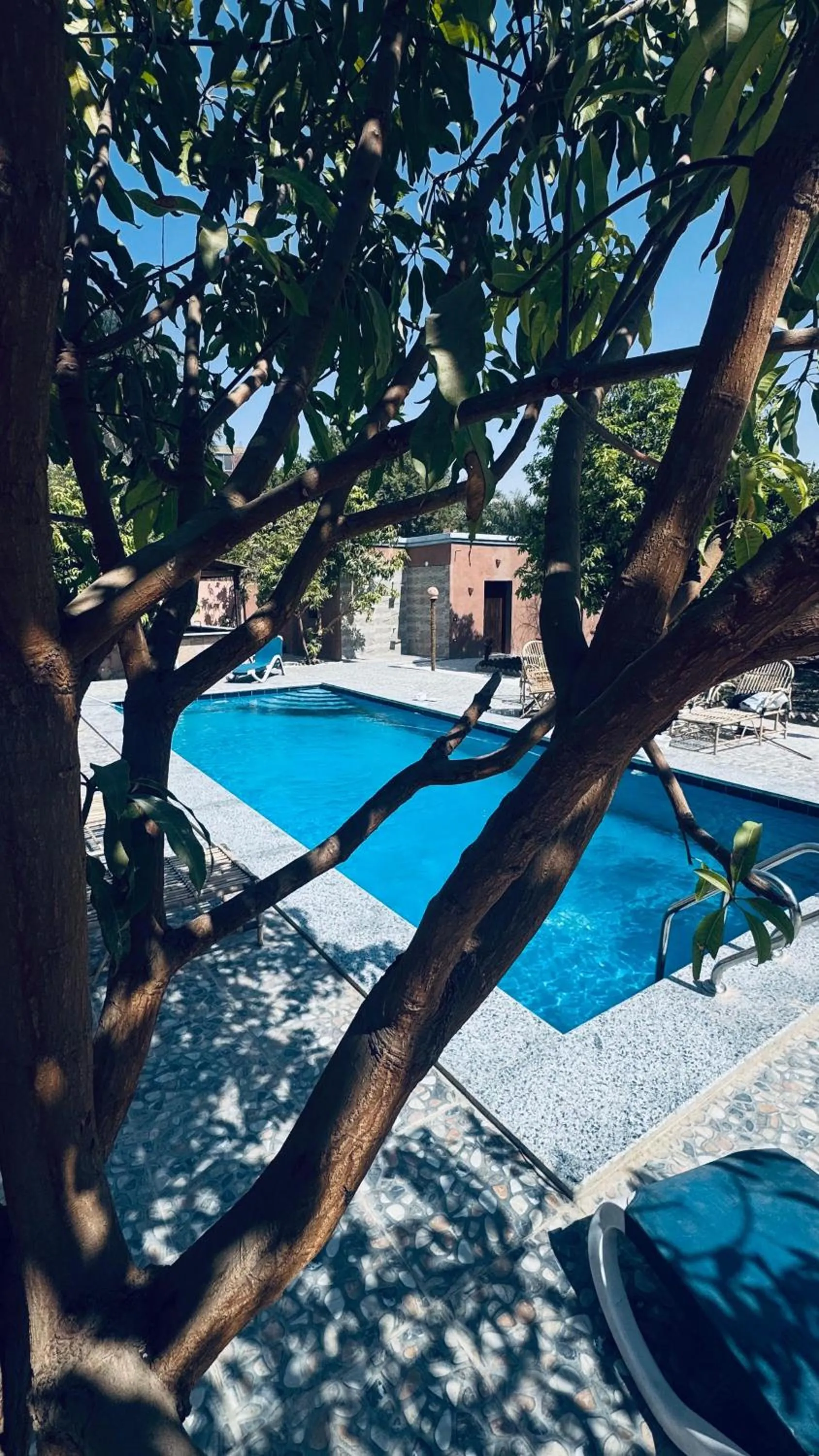 Swimming pool in El Juneina Villas