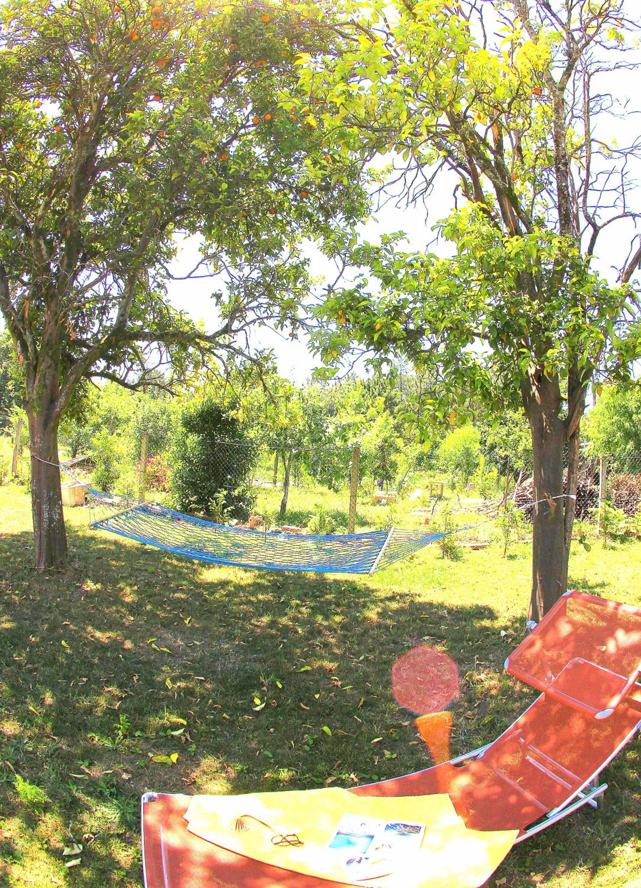 Garden in O Refuxio de la Jerezana