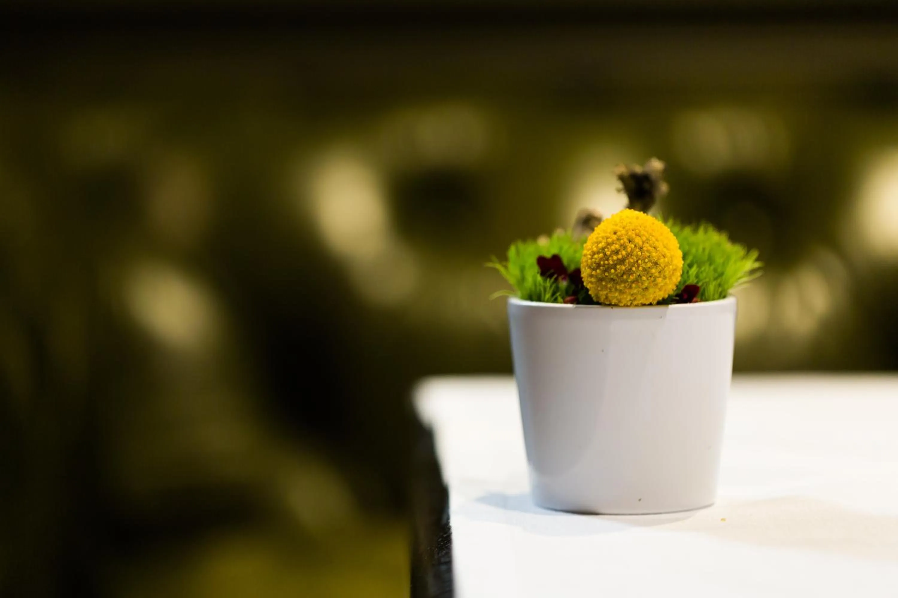 Food in La Cour des Consuls Hotel & Spa Toulouse - MGallery Collection