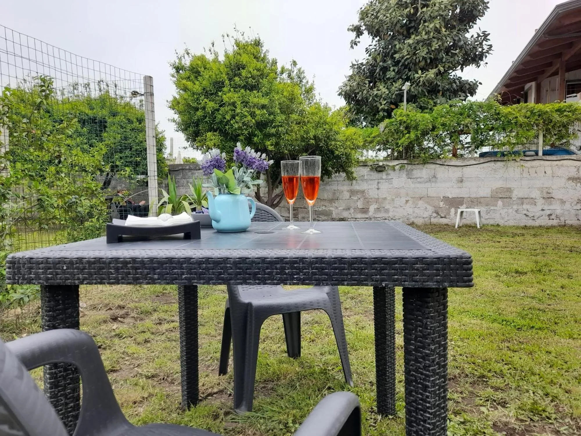 Garden in City Pompei Accommodations