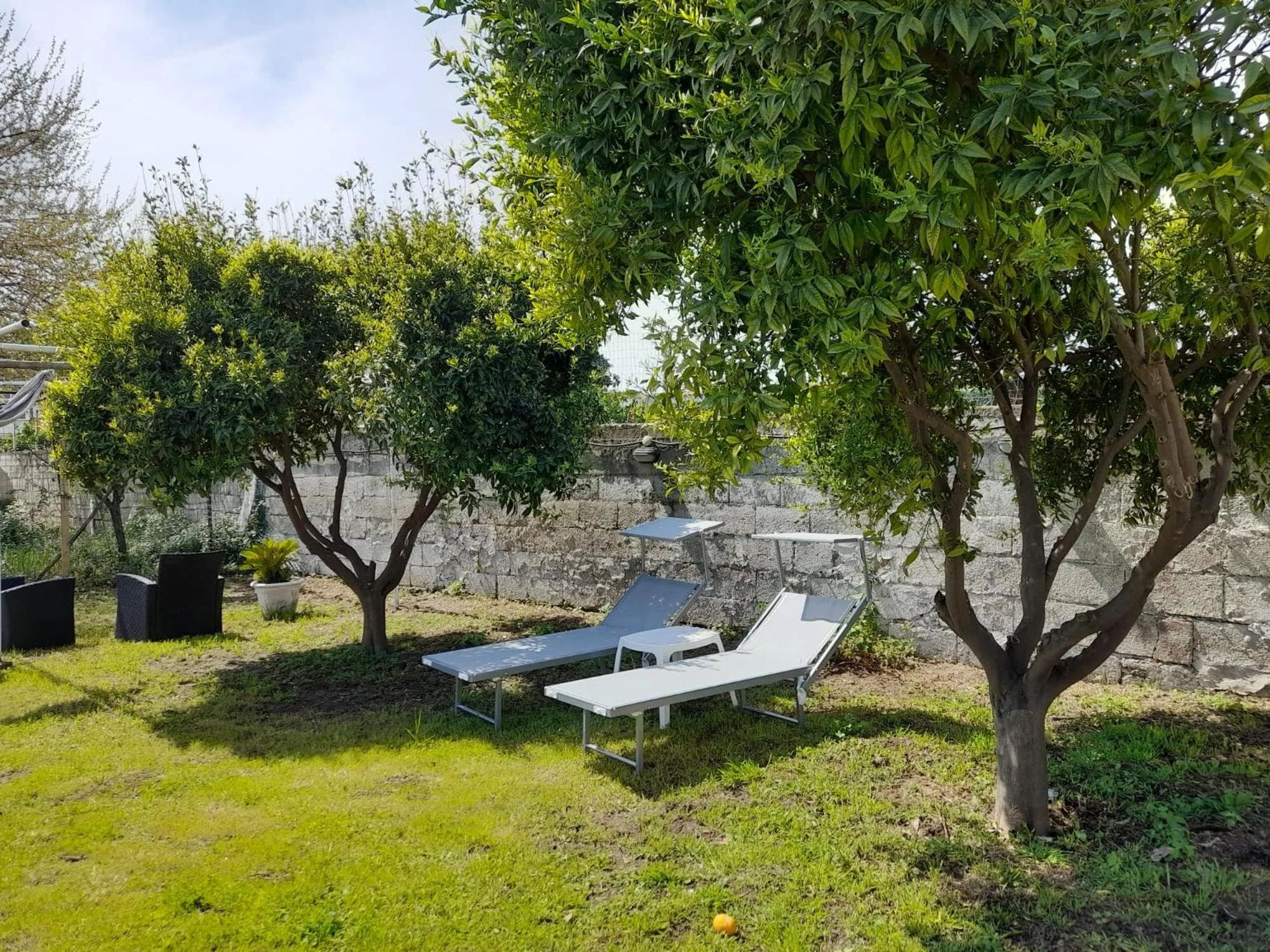 Garden in City Pompei Accommodations